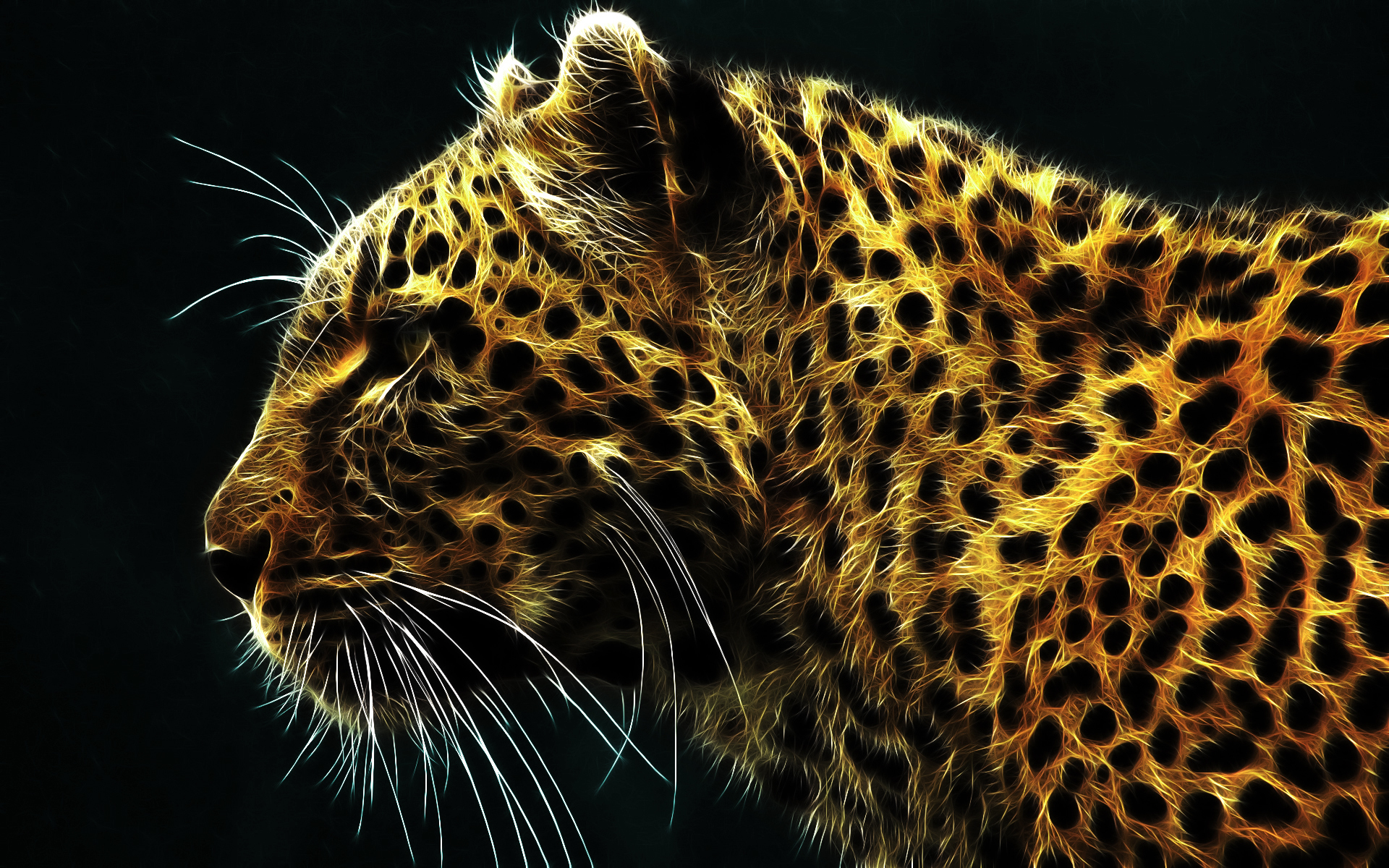 Cool Wallpapers tigers, animals, black