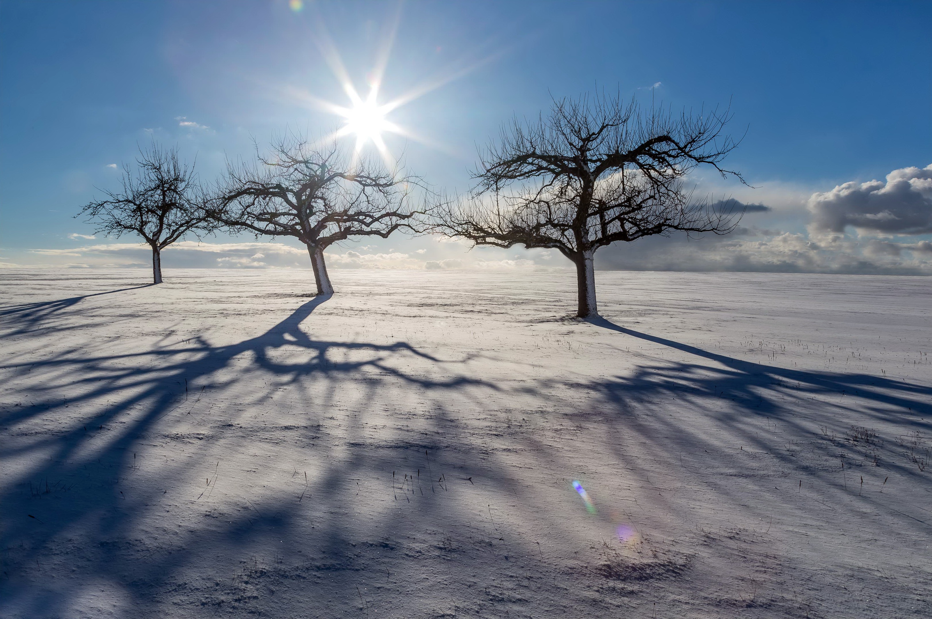 Free download wallpaper Winter, Nature, Sky, Sun, Snow, Tree, Earth on your PC desktop
