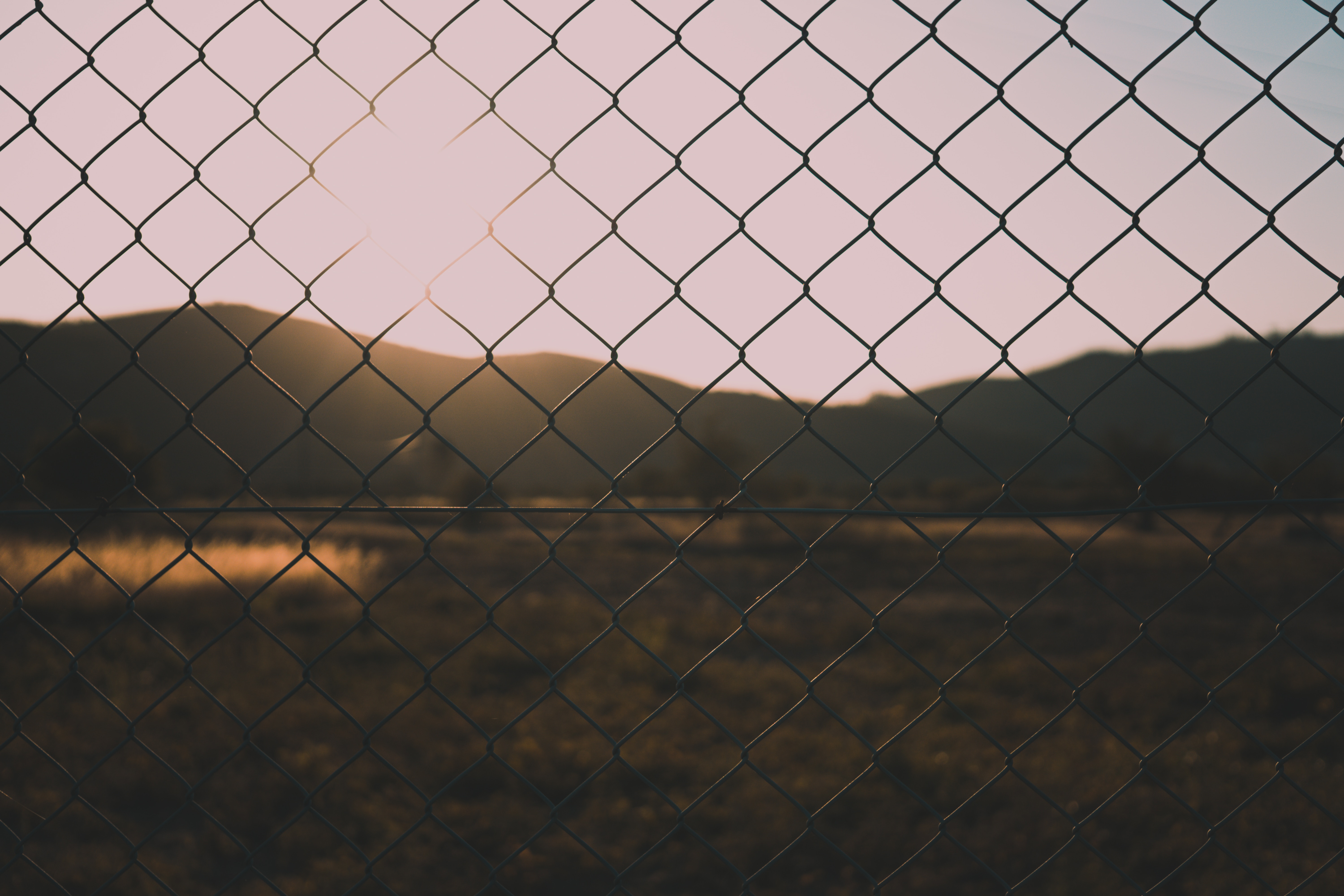 blur, smooth, nature, grid, fence