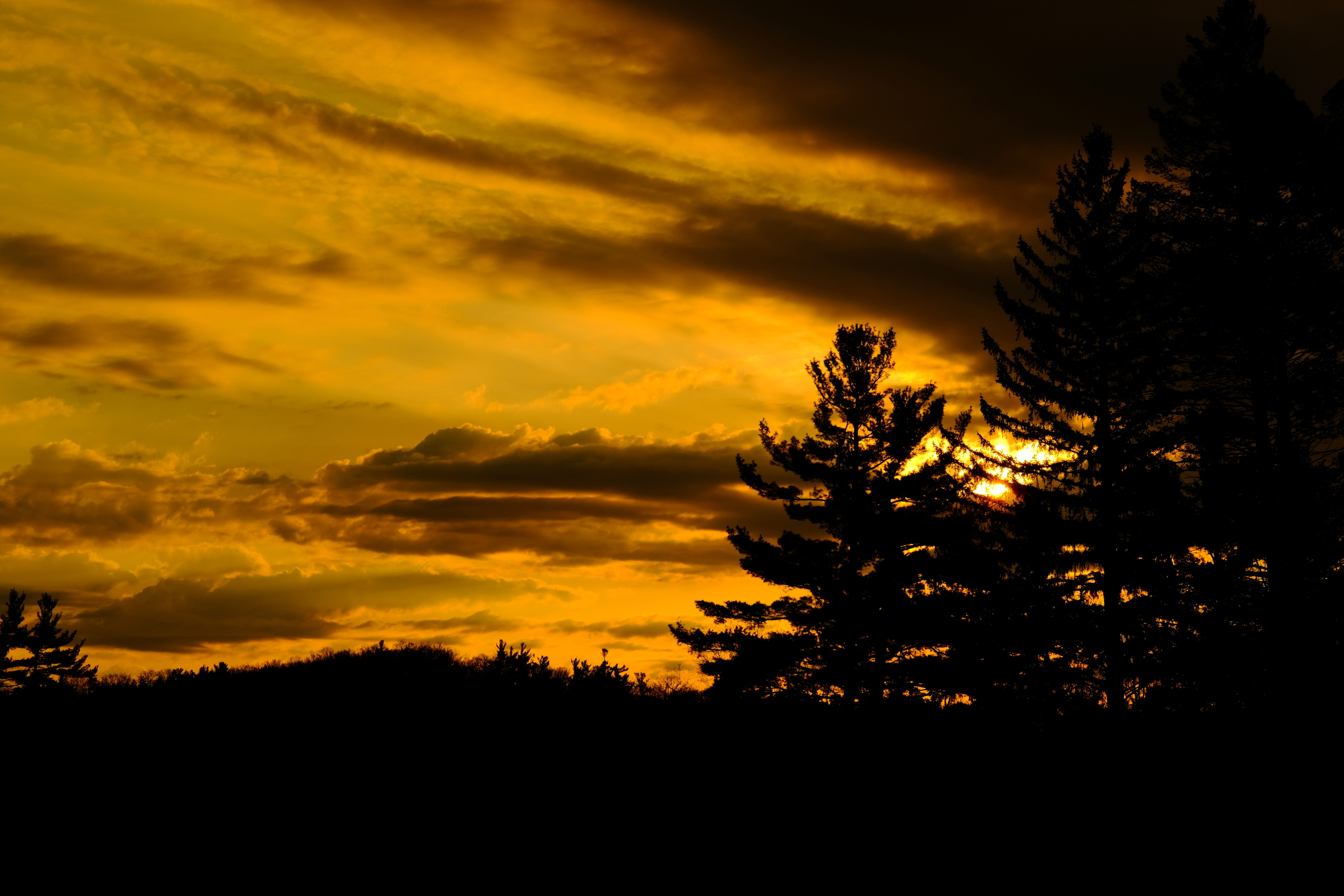 Laden Sie das Natur, Bäume, Dämmerung, Sunset, Twilight, Dunkel-Bild kostenlos auf Ihren PC-Desktop herunter