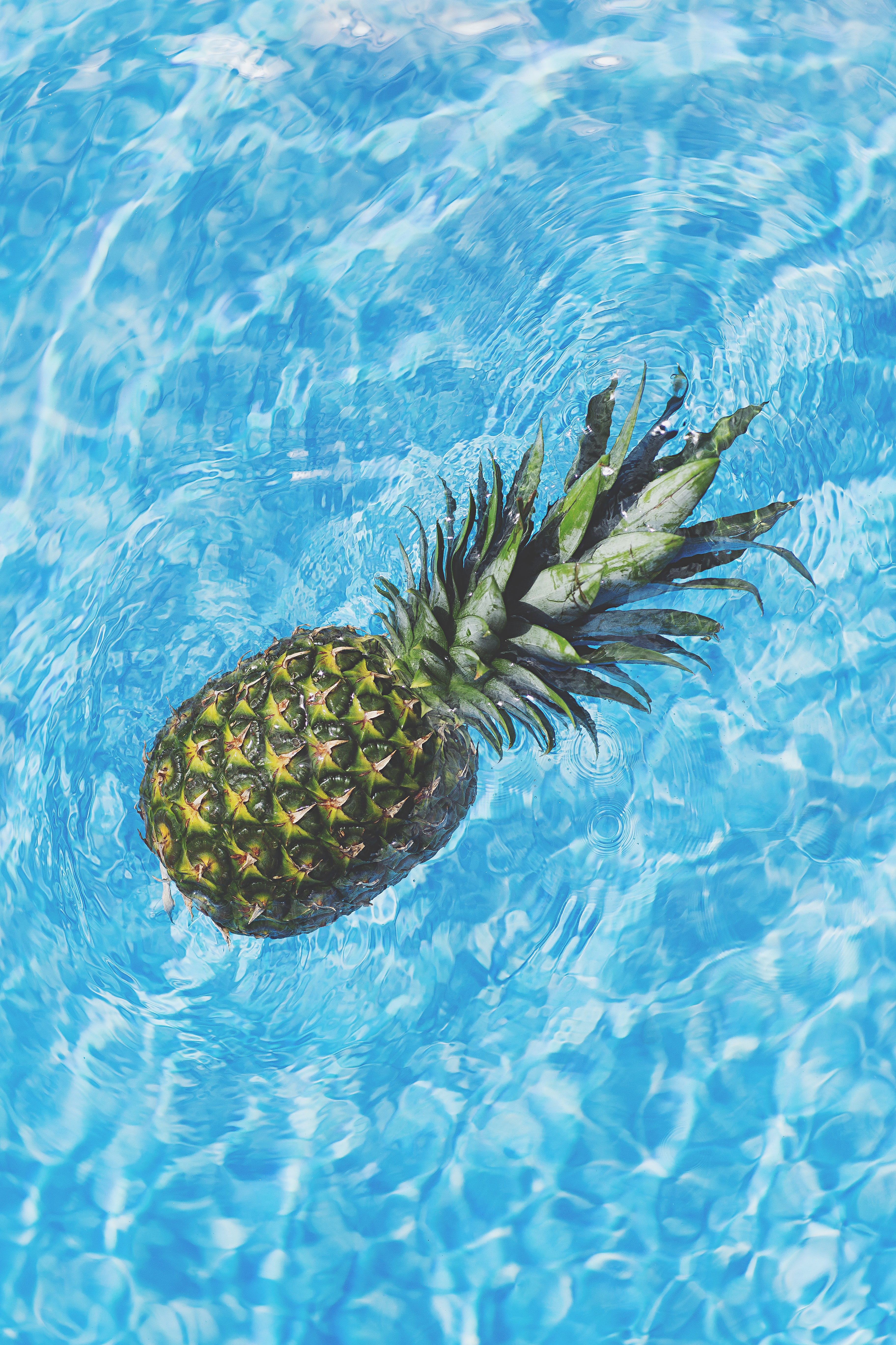 151509 Hintergrundbild herunterladen ananas, wasser, lebensmittel, die frucht, frucht, eine ananas - Bildschirmschoner und Bilder kostenlos
