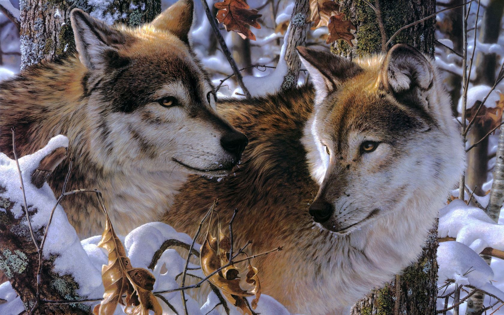 wolfs, animals, trees, snow, predators, couple, pair, fidelity, attachment, affection Phone Background