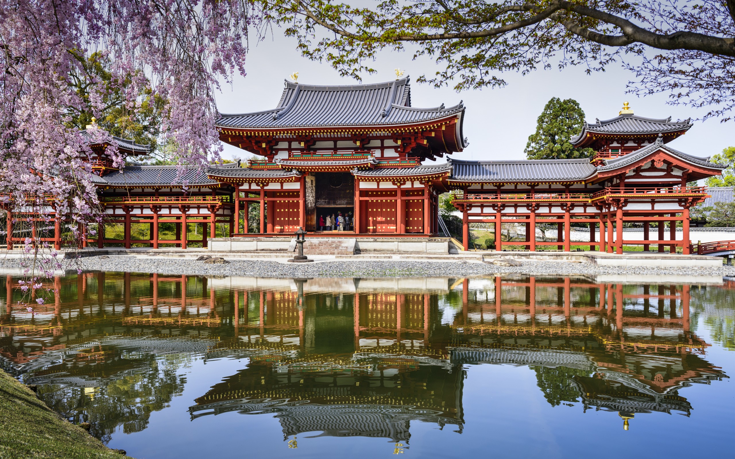 japan, temple, religious, byōdō in, kyoto, temples