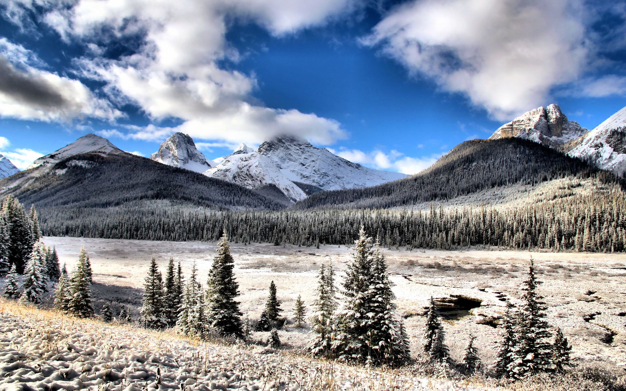 earth, mountain, alberta, cloud, forest, landscape, snow, winter, mountains