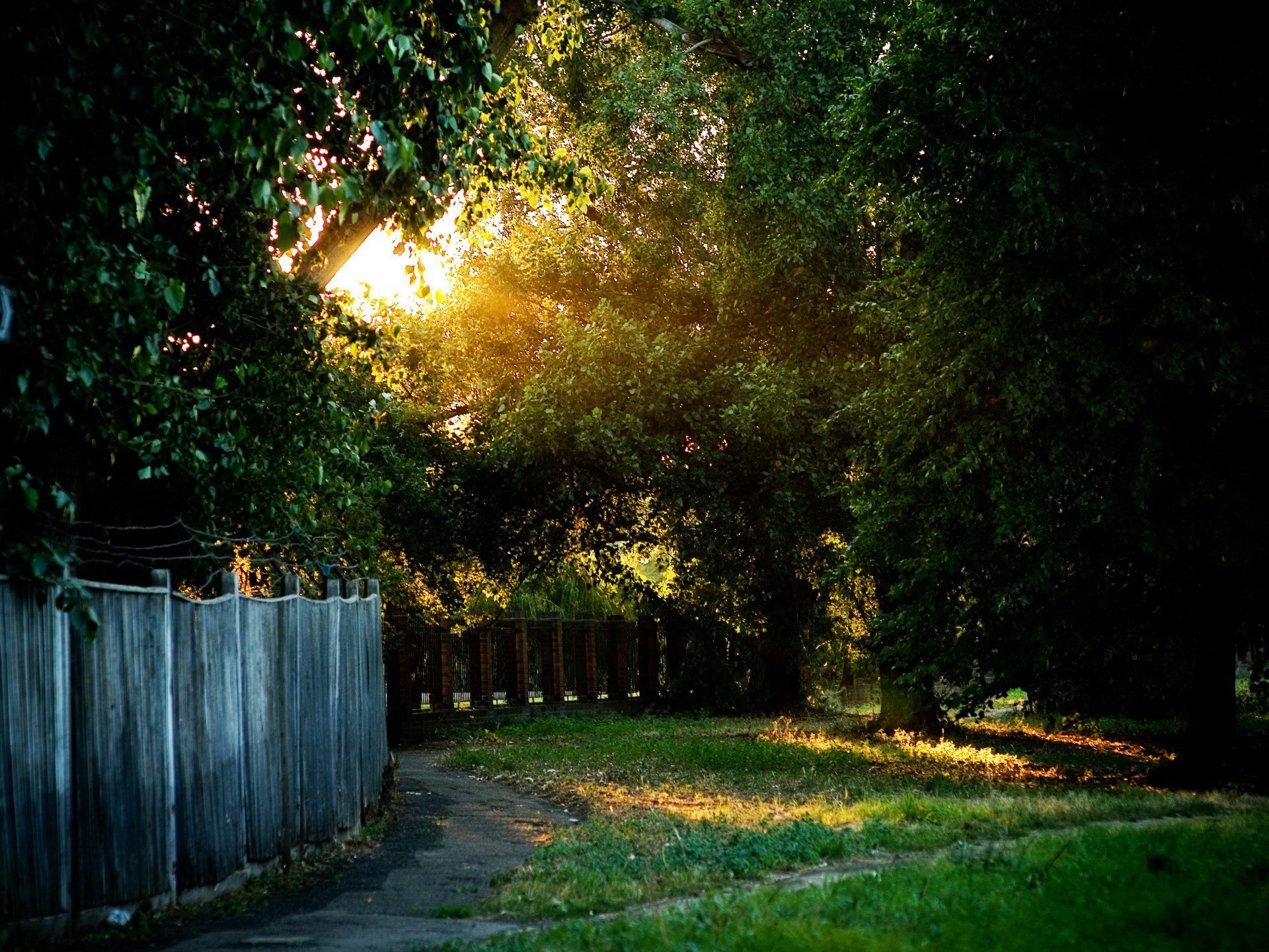 enclosure, wire, nature, trees, shine, light, path, fence, trail, fencing, courtyard, yard 5K