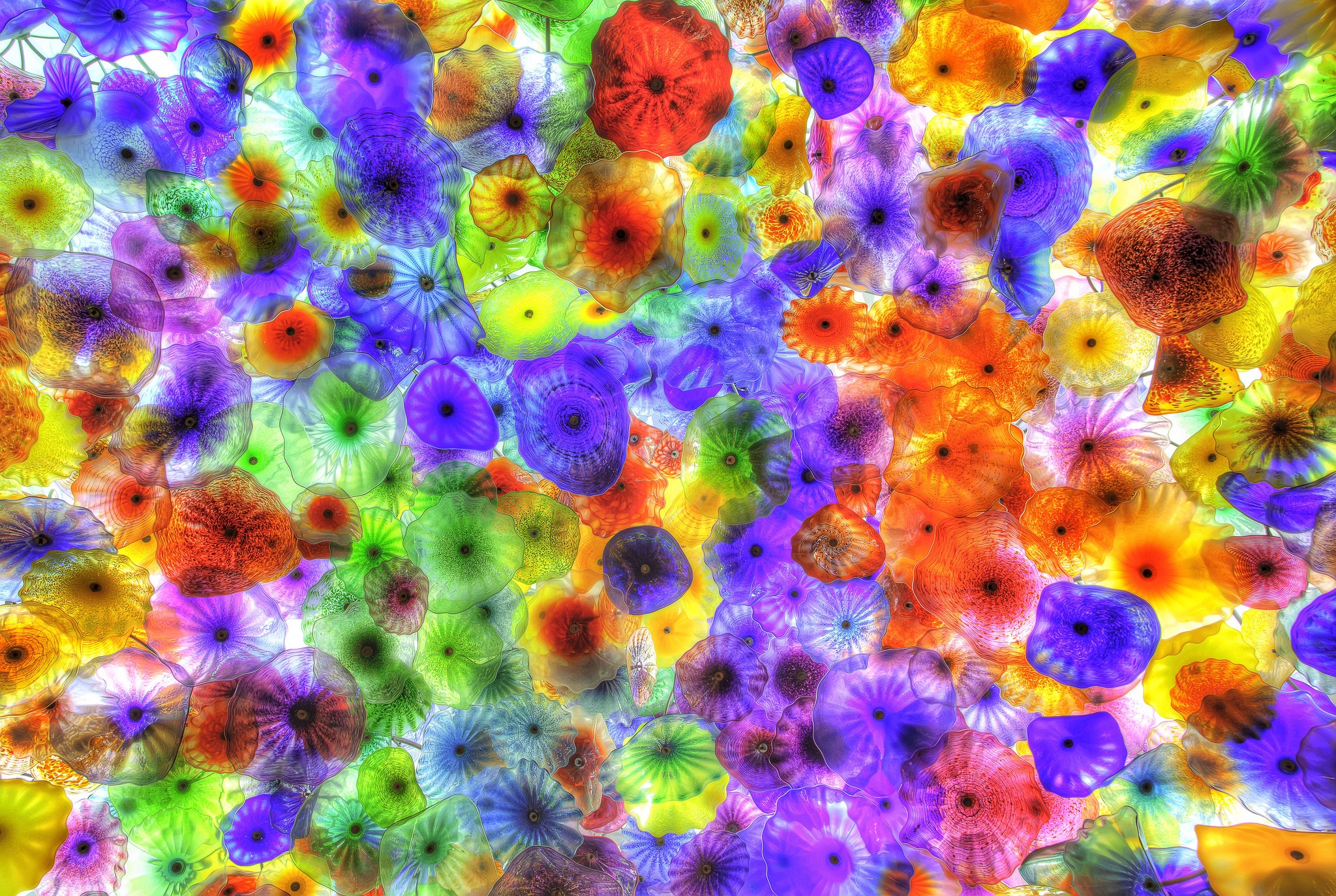135408 скачать обои медузы, яркий, разноцветные, абстракция, фон - заставки и картинки бесплатно