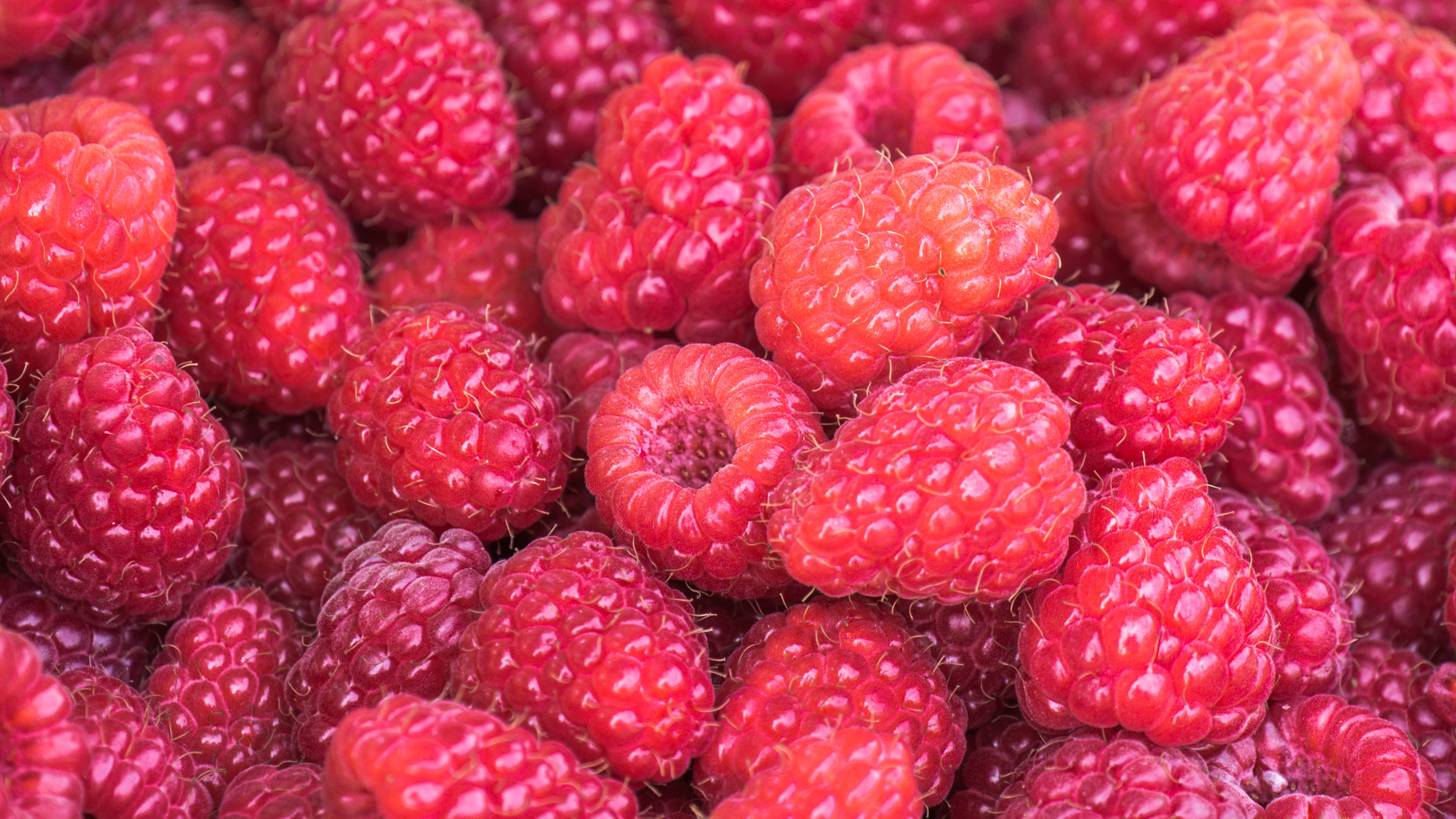 summer, food, ripe, raspberry, berries, vitamins
