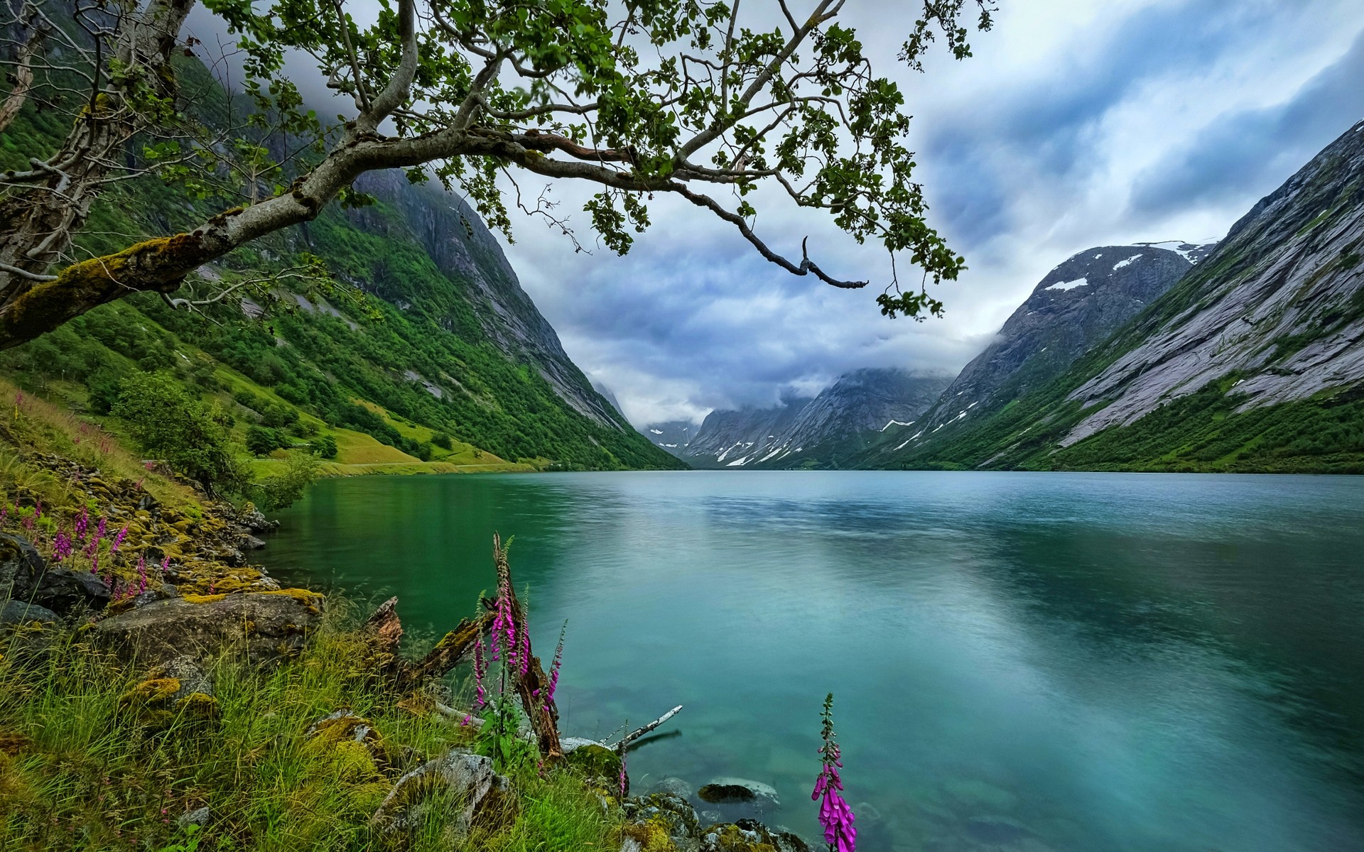 природа норвегии картинки