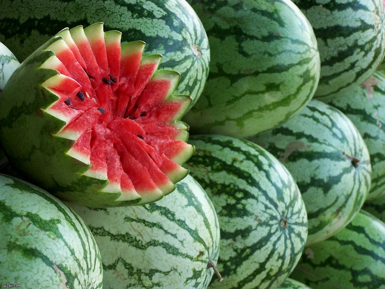 Handy-Wallpaper Obst, Lebensmittel, Wassermelonen, Pflanzen kostenlos herunterladen.
