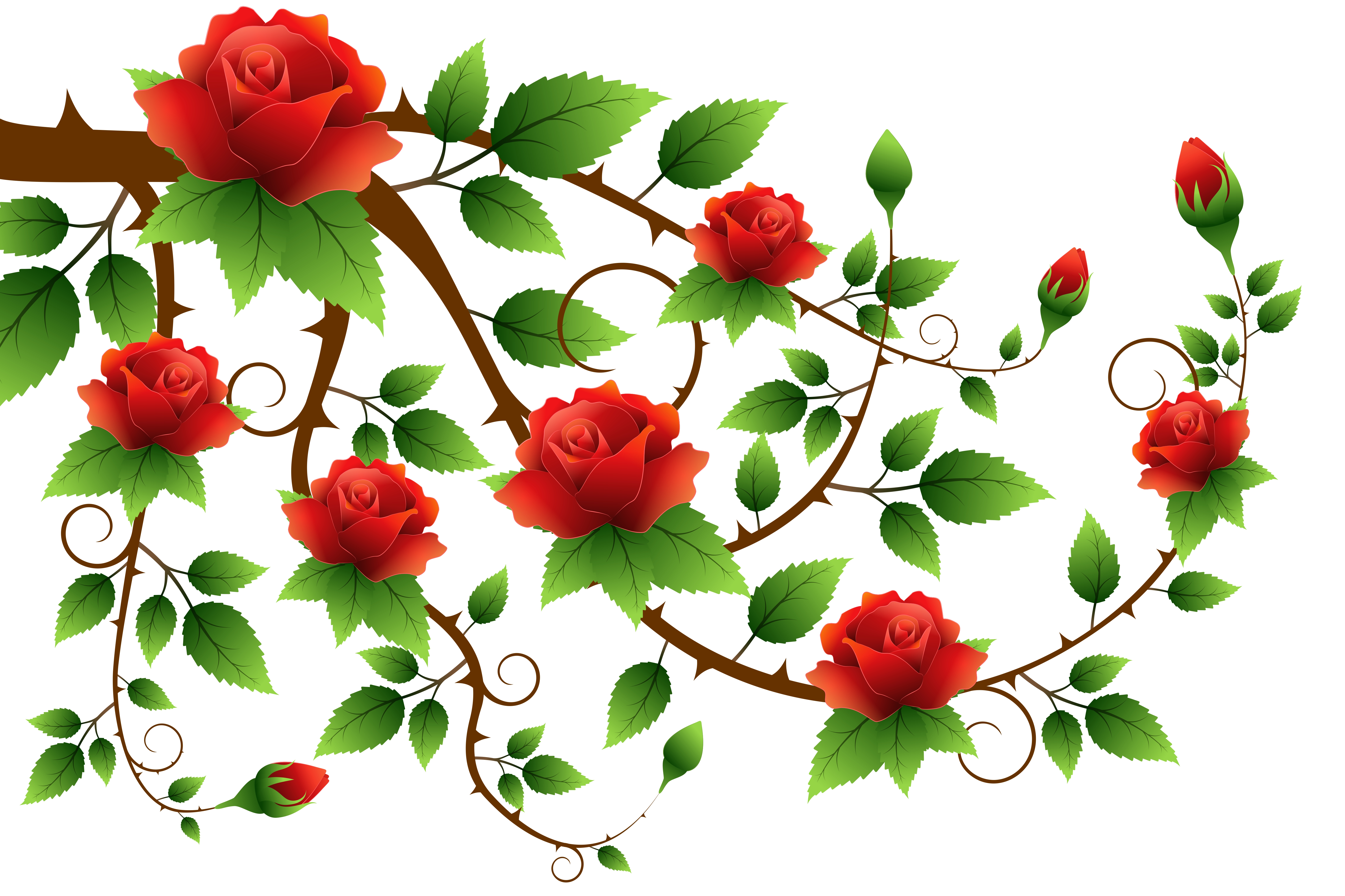 rose, red rose, artistic, leaf, red, vine Phone Background
