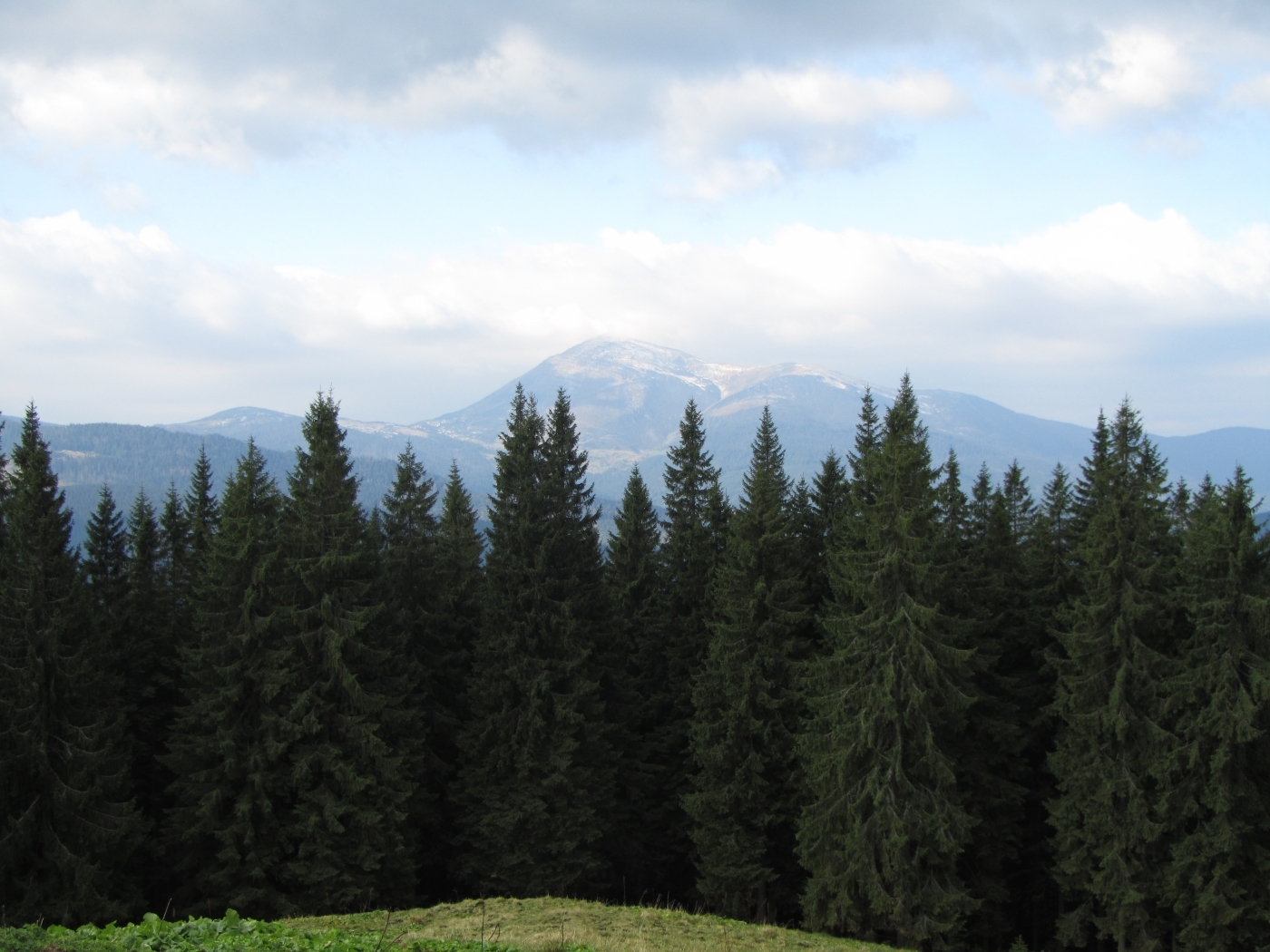 Handy-Wallpaper Bäume, Mountains, Landschaft kostenlos herunterladen.