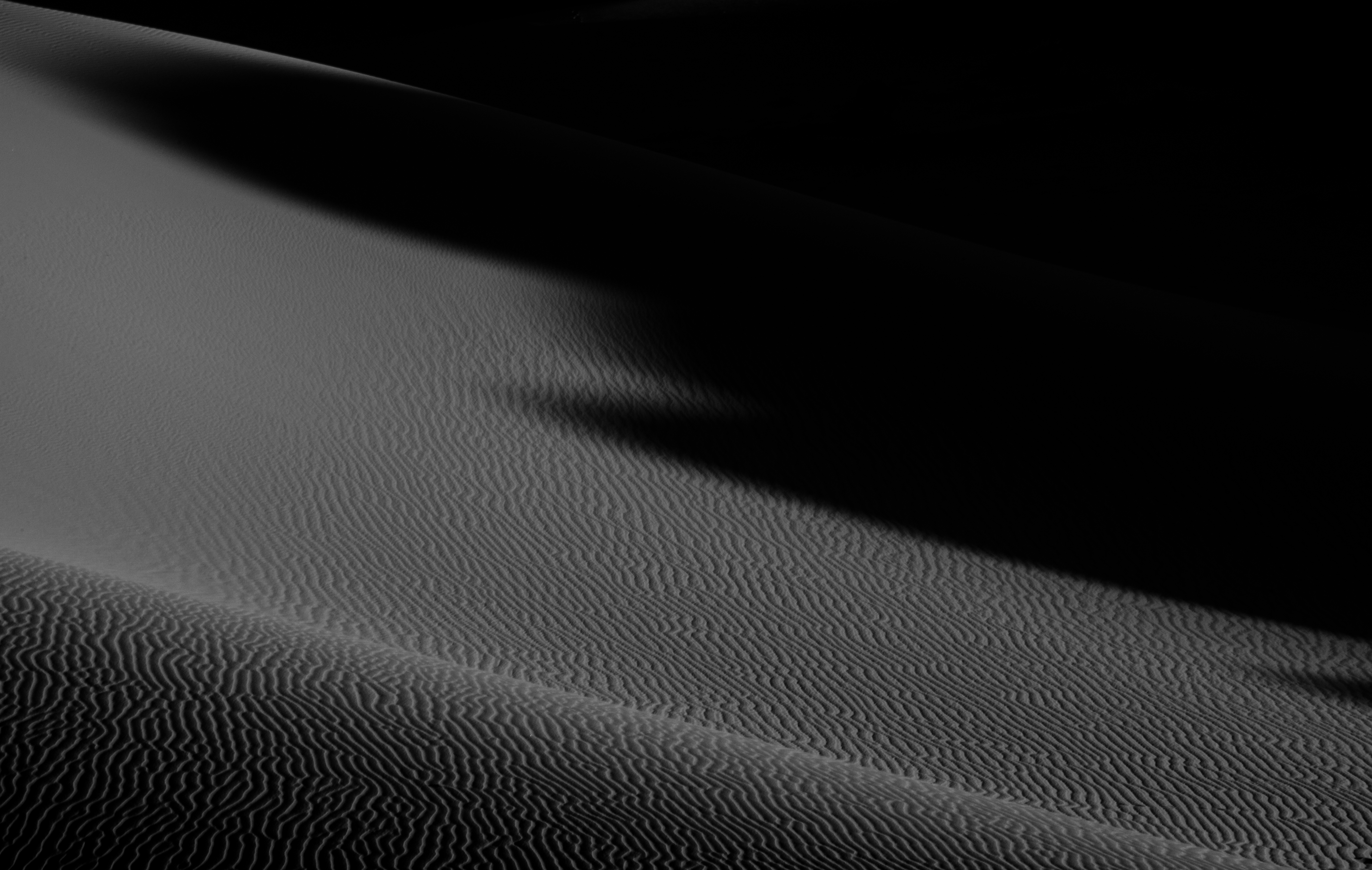 sahara, earth, desert, africa, algeria, black & white, dune, sand, shadow