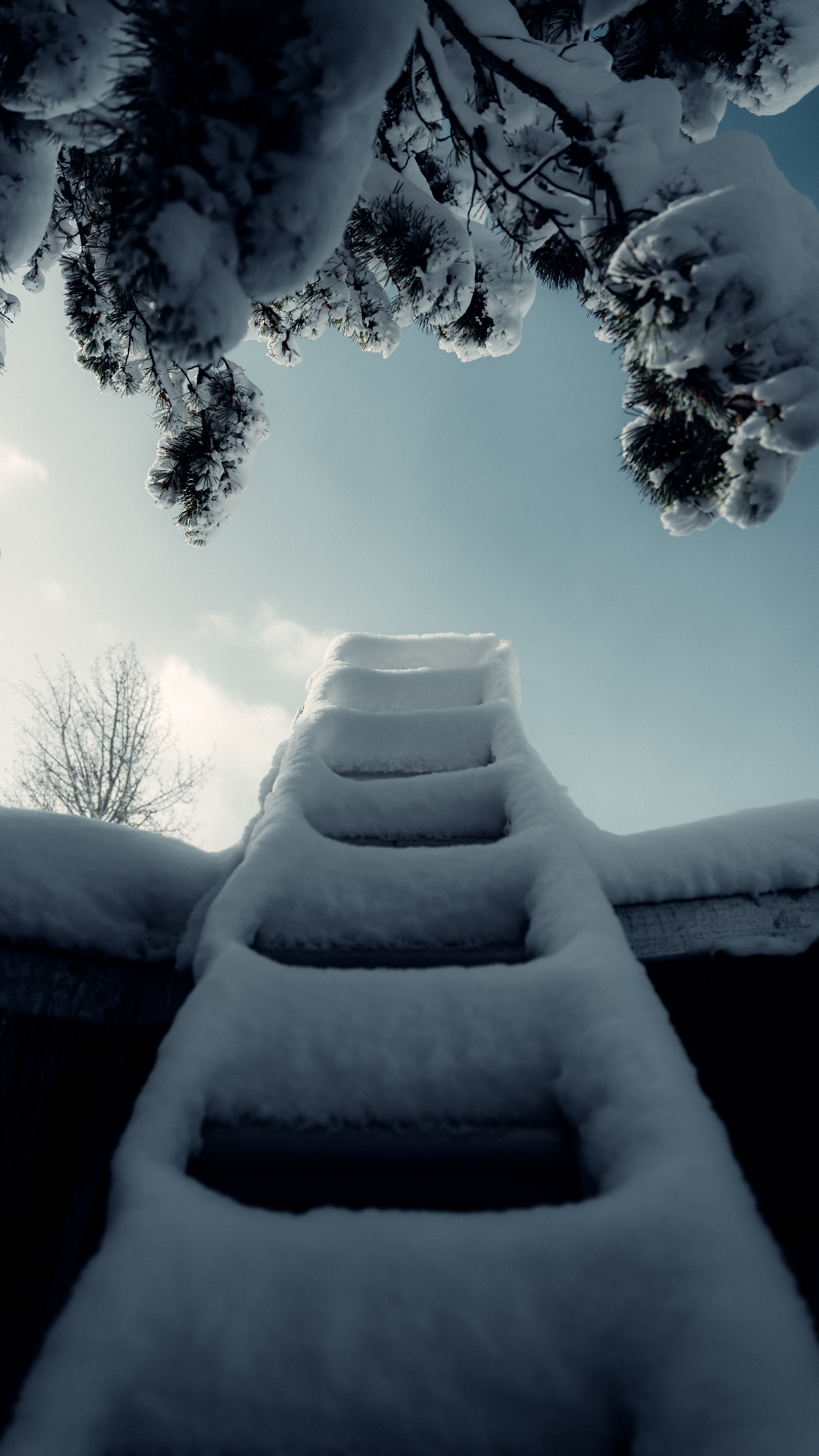 Скачать обои бесплатно Лестница, Снег, Разное, Ветка, Зима картинка на рабочий стол ПК