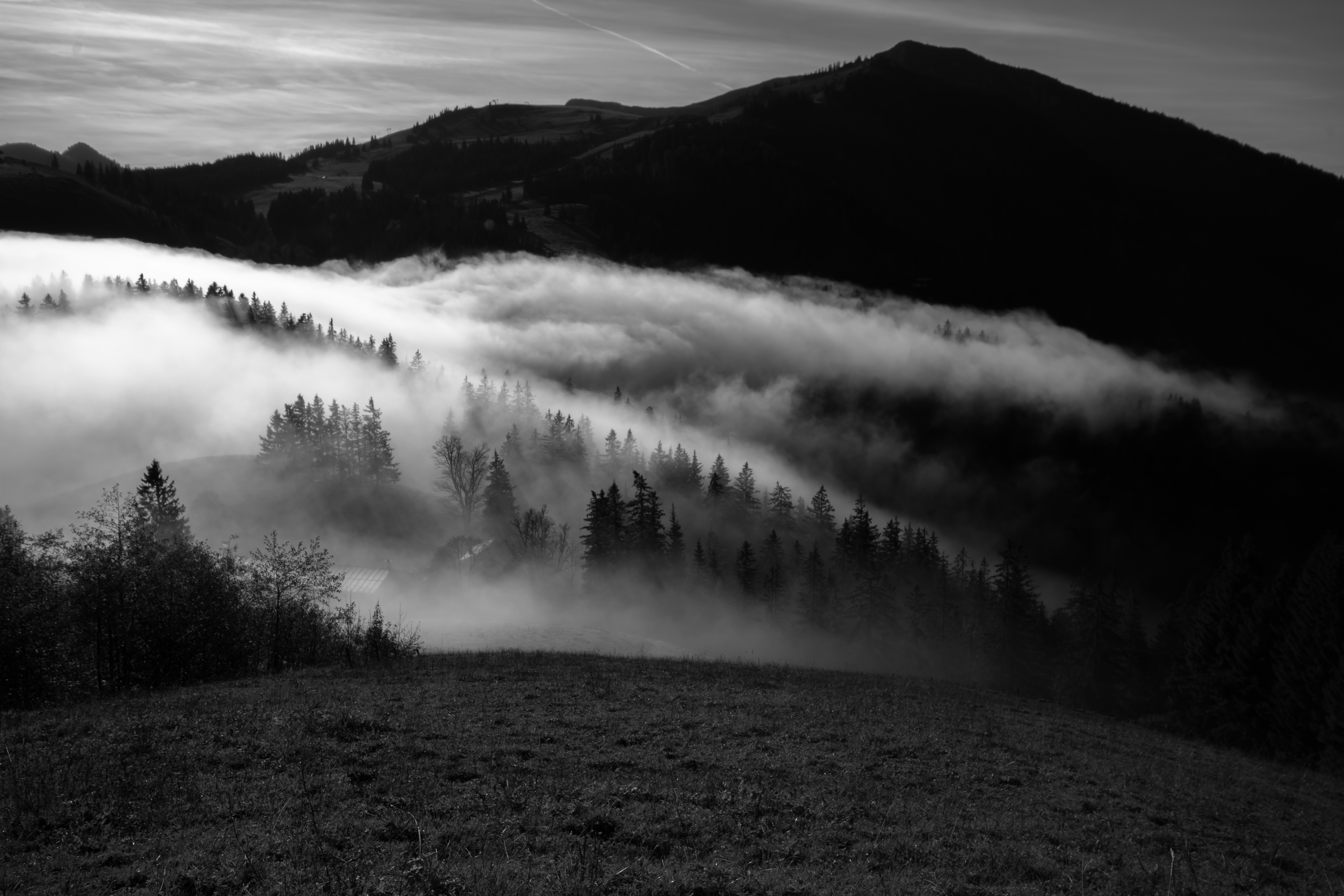 bw, nature, trees, mountain, fog, hills, chb Phone Background