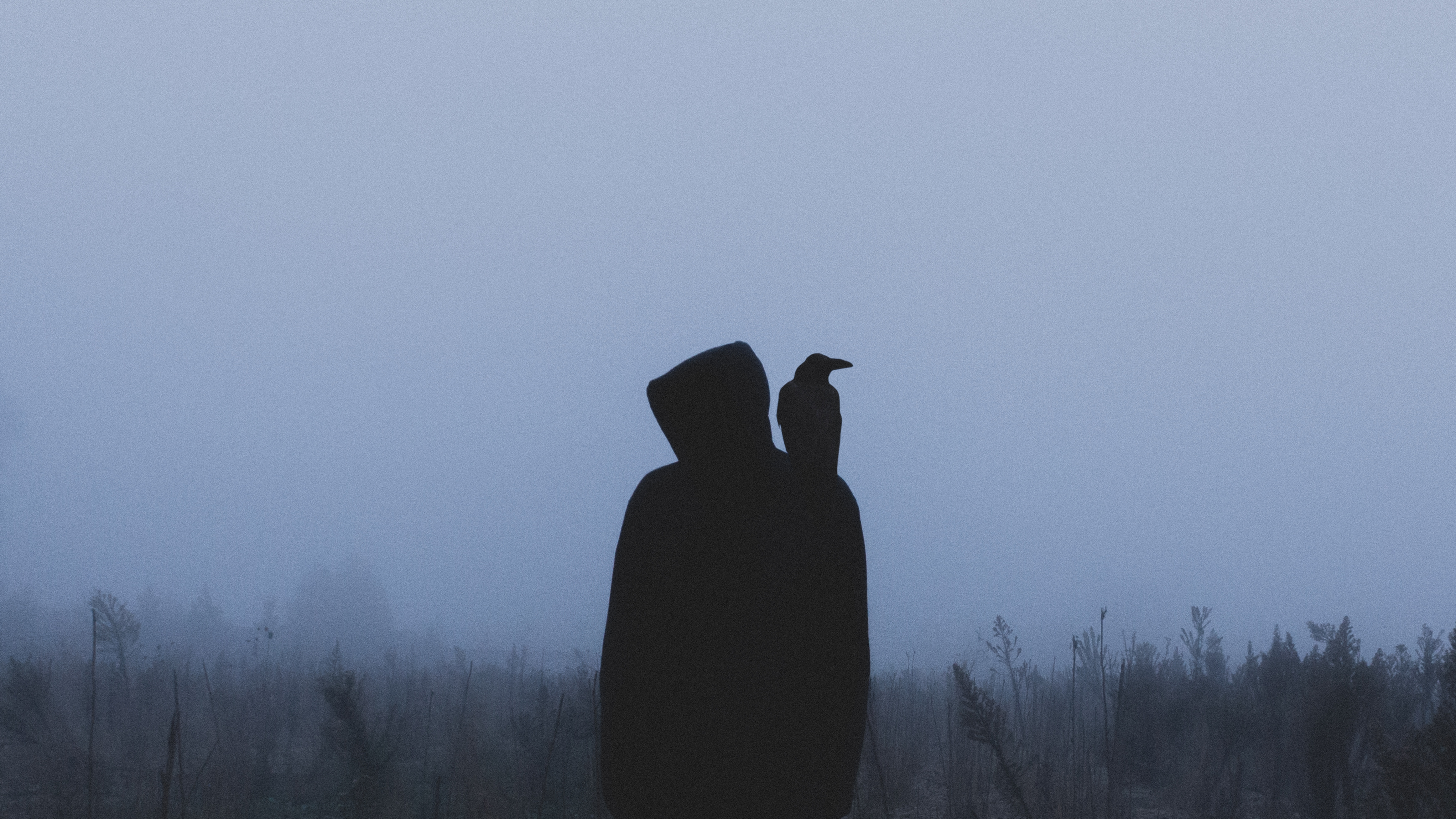 raven, hood, fog, loneliness, silhouette, miscellanea, miscellaneous Aesthetic wallpaper