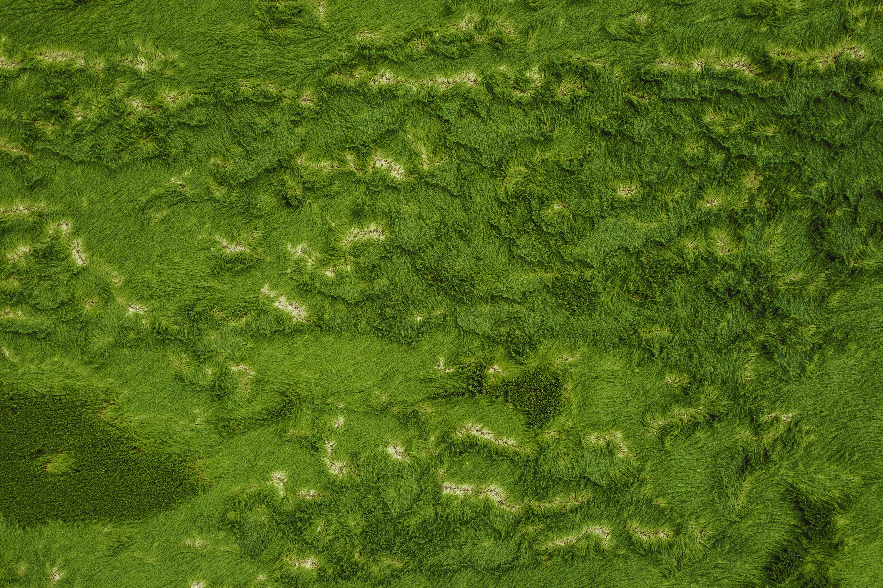 Download mobile wallpaper View From Above, Land, Grass, Greens, Surface, Texture, Textures, Earth for free.