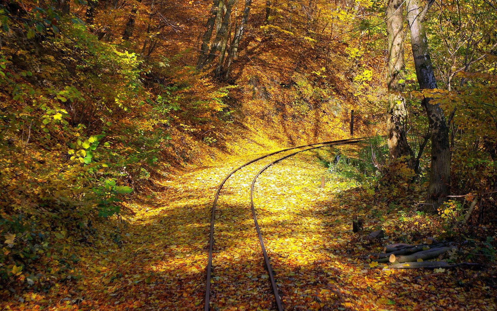 fall, rails, nature, turn, forest, leaf fall, railway