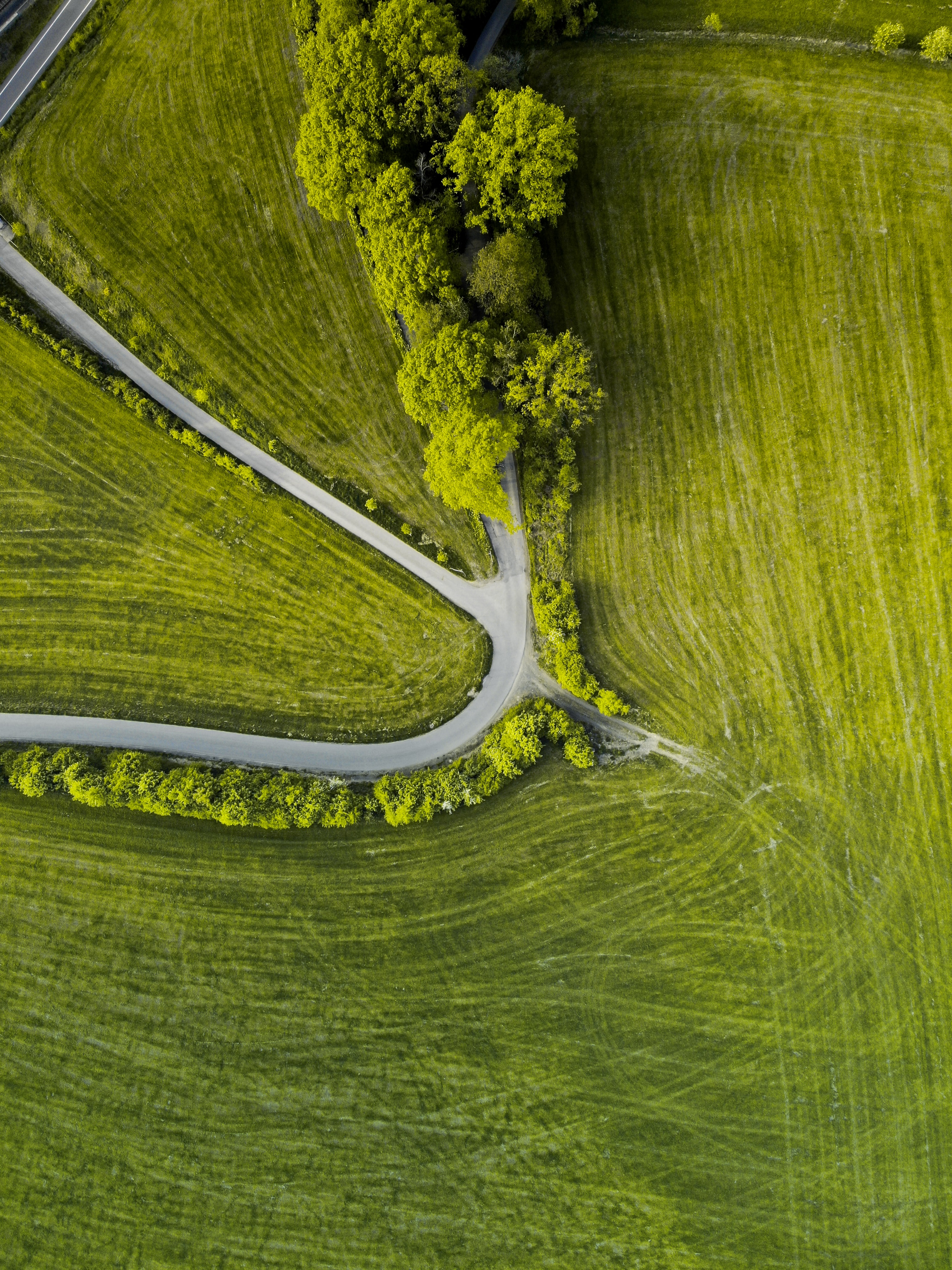 view from above, nature, trees, grass, road, winding, sinuous Full HD