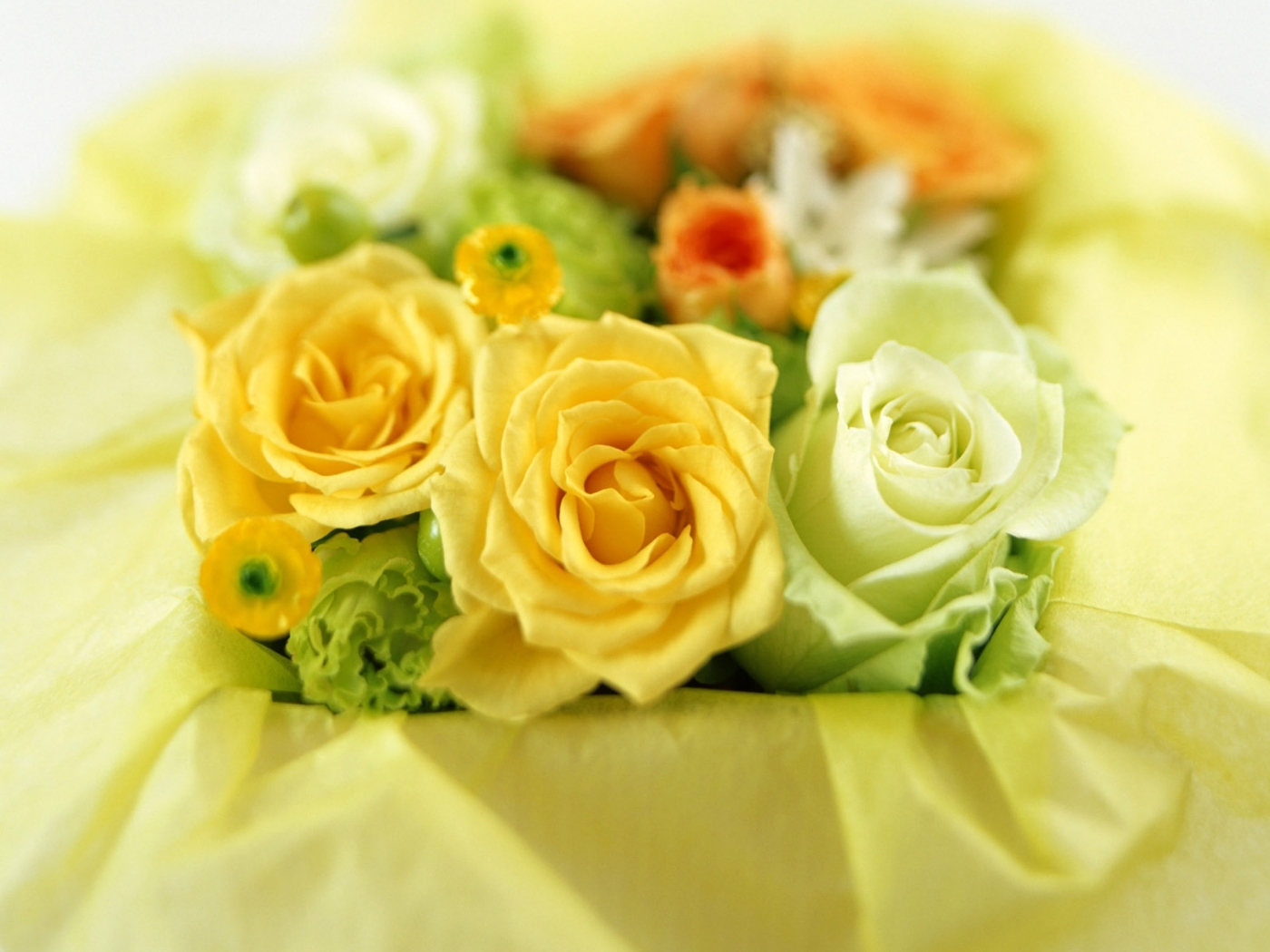 27451 Hintergrundbild herunterladen pflanzen, blumen, roses, bouquets, gelb - Bildschirmschoner und Bilder kostenlos
