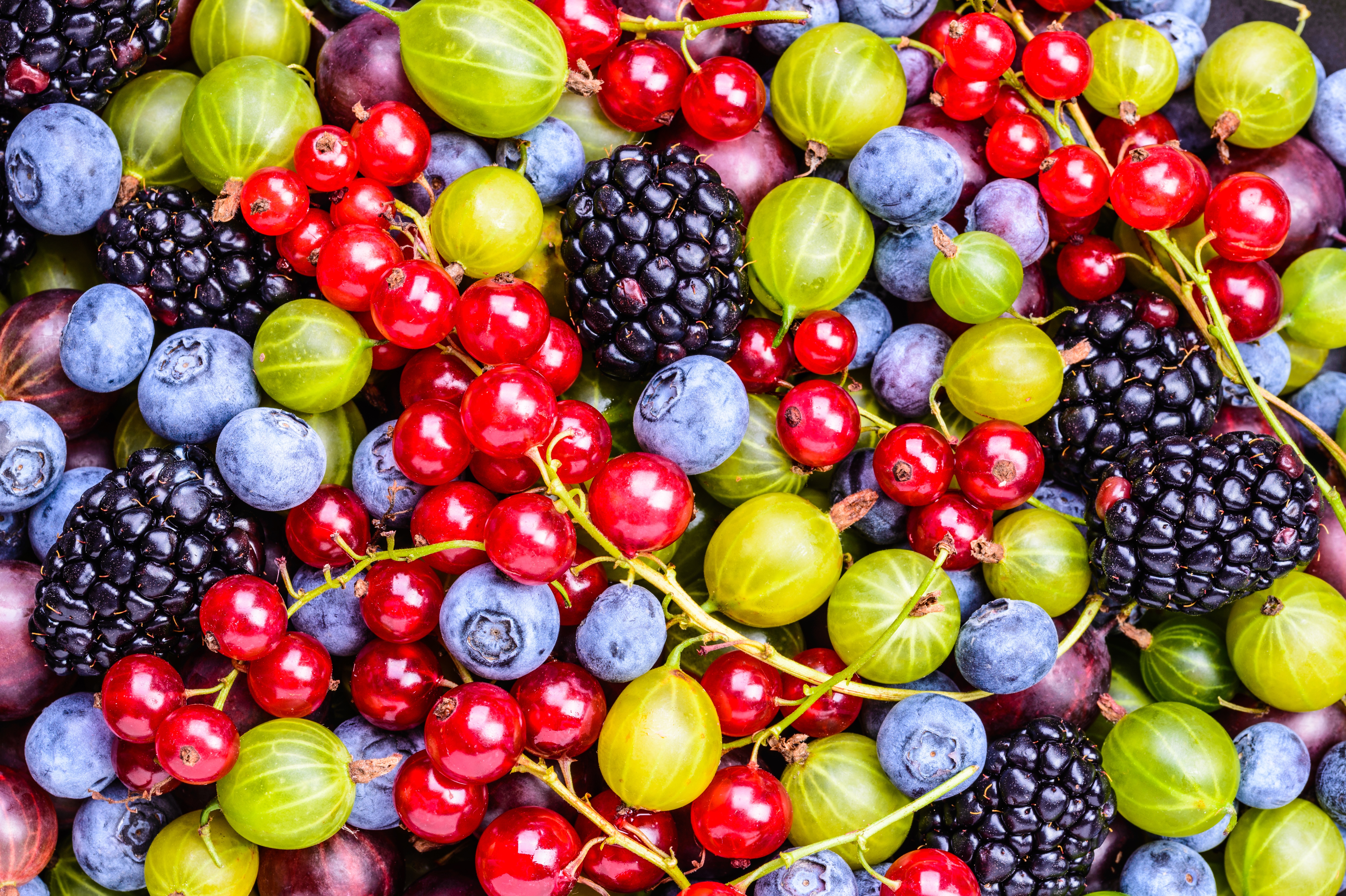 Download mobile wallpaper Food, Blueberry, Blackberry, Berry, Fruit, Currants for free.