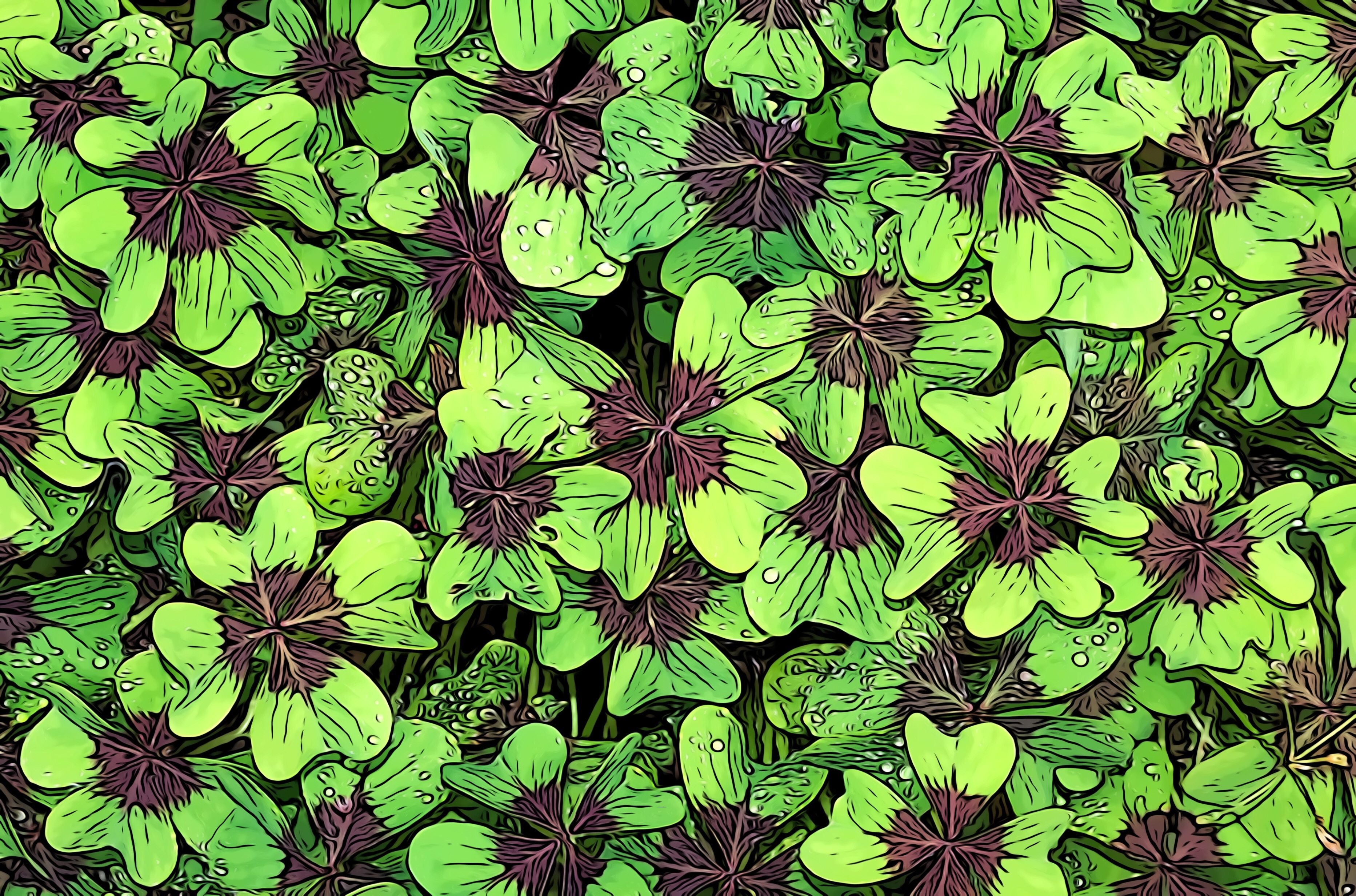 Clover Panoramic Wallpapers
