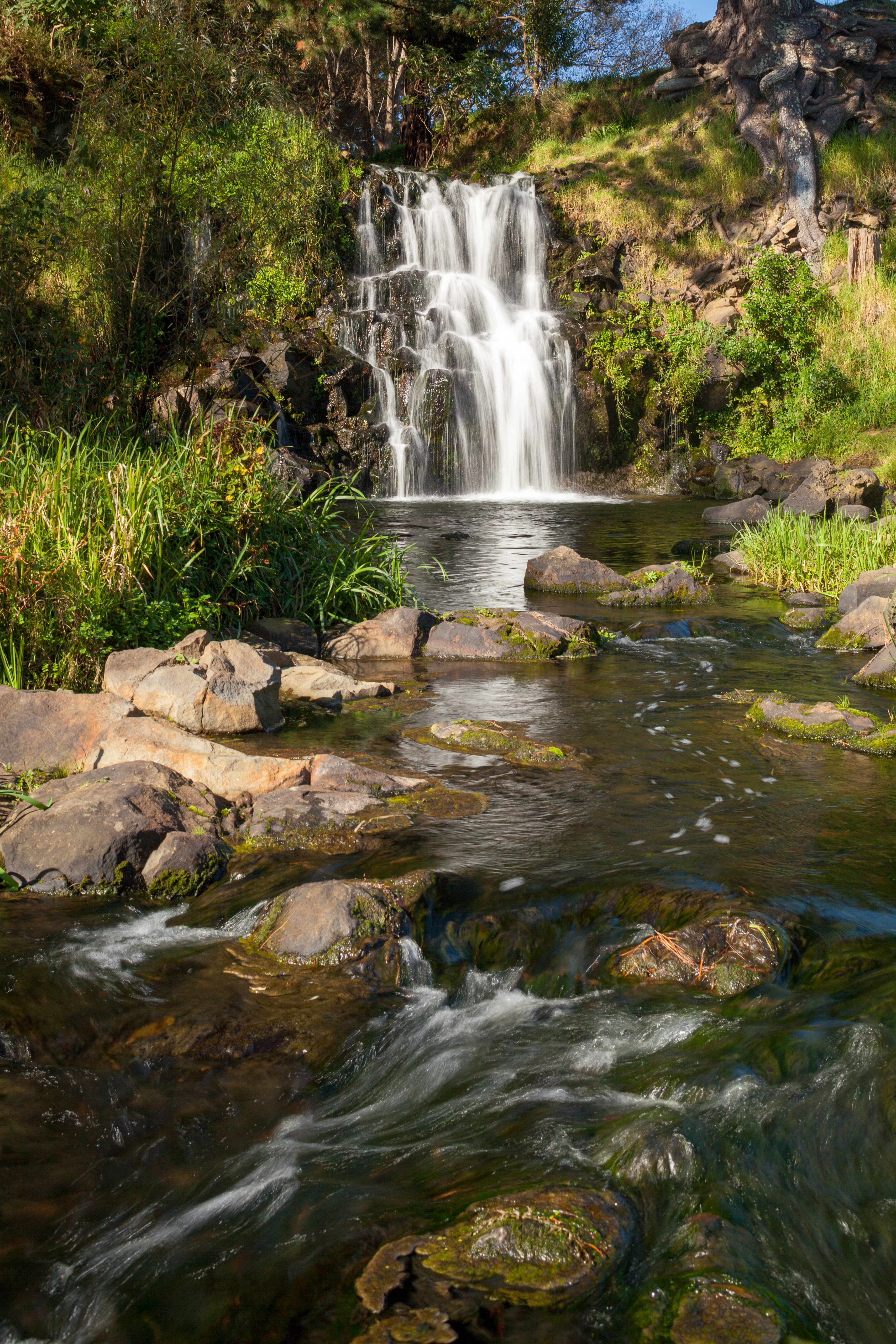 stream, waterfall, stones, nature, rocks, flow phone background