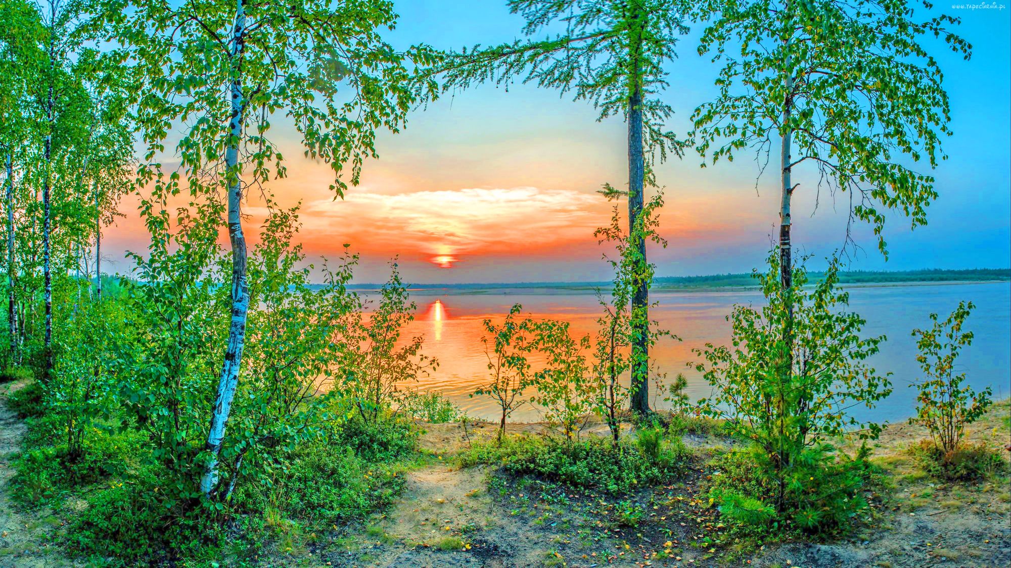 Вдали ближе к роще. Озеро Ханто Ноябрьск. Березовая роща озеро Ивановская область. Озеро Березовое Березово. Озеро Ханто Ноябрьск фото.