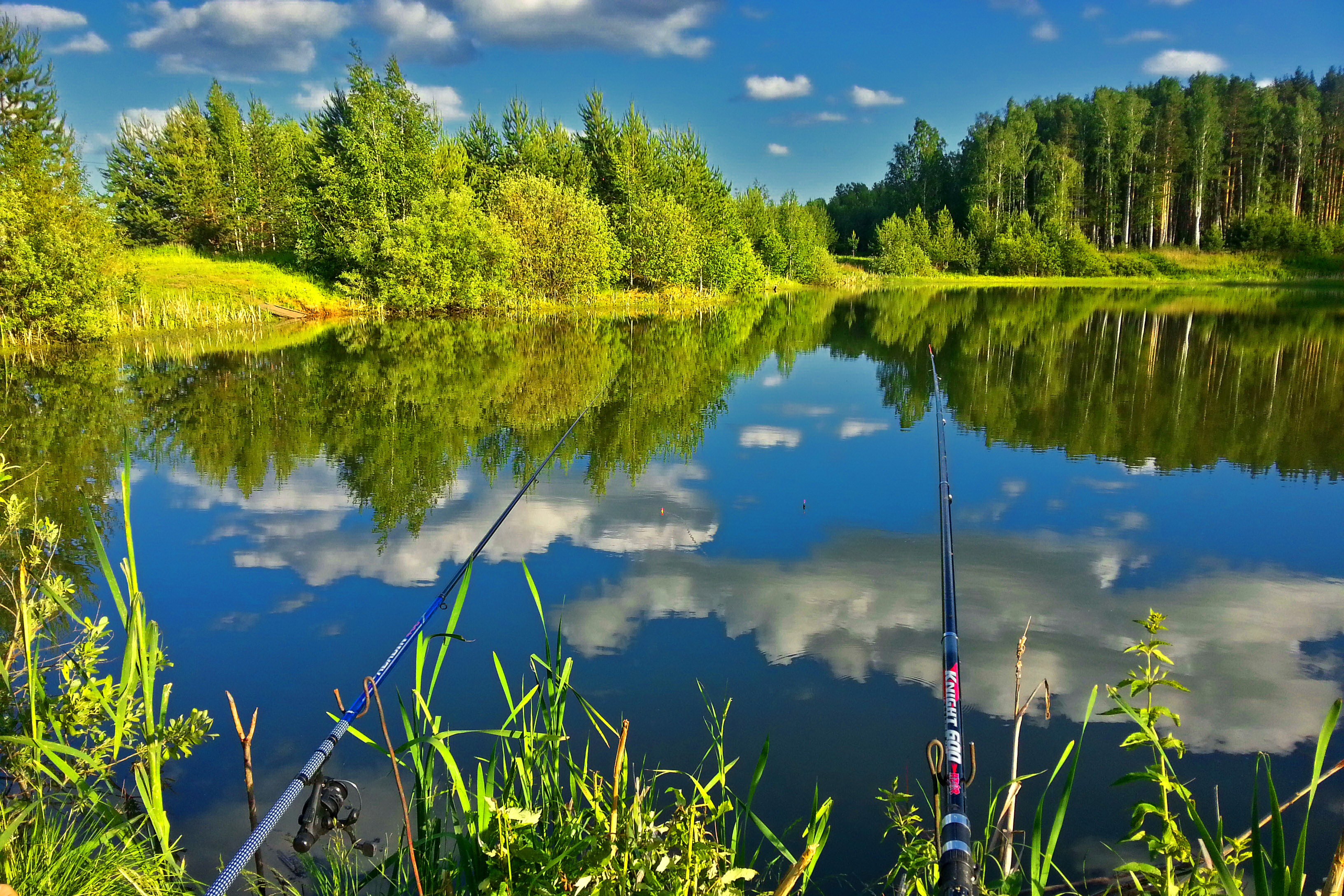 fishing, nature, sports, river
