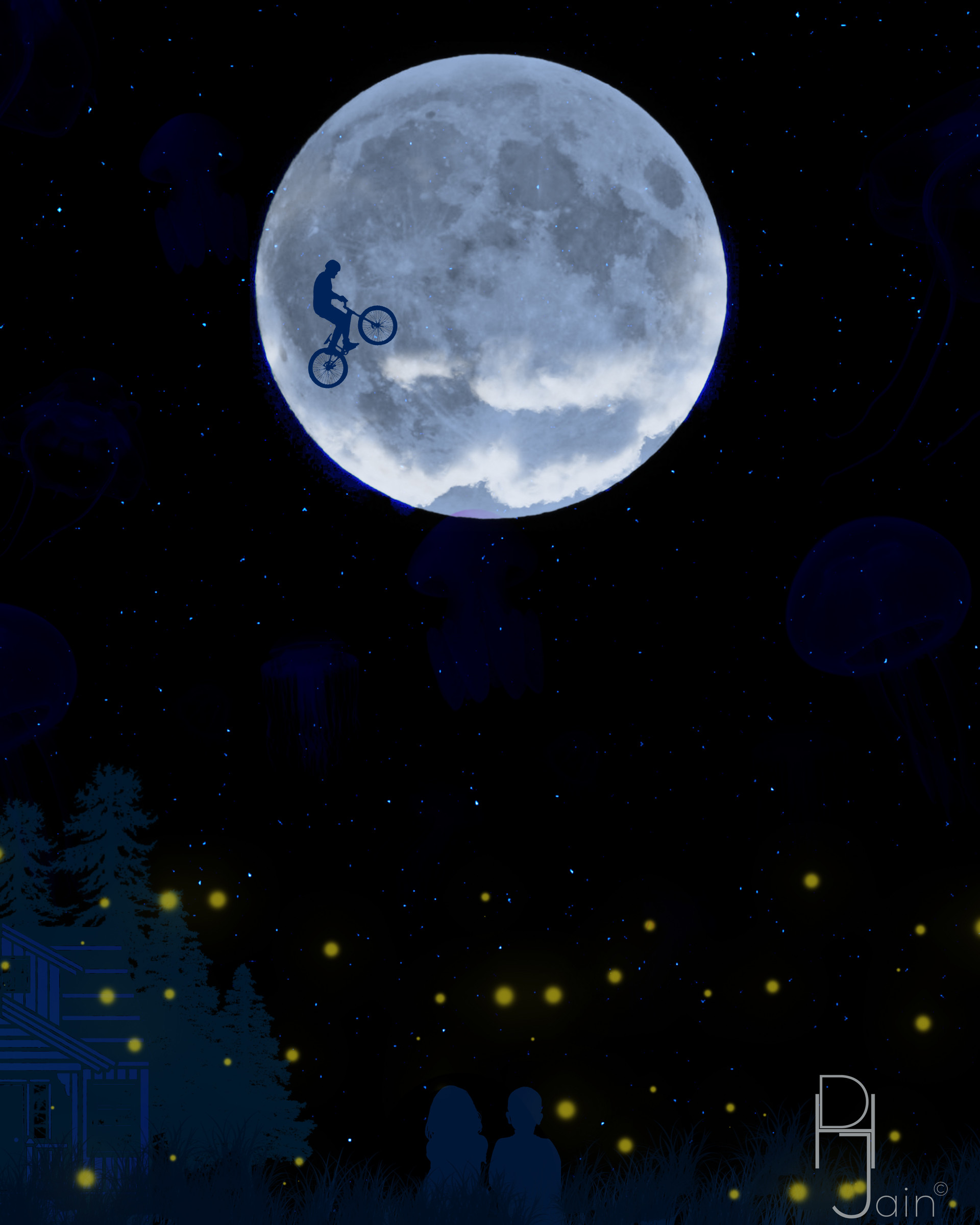 Download mobile wallpaper Cyclist, Starry Sky, Jellyfish, Couple, Art, Pair, Moon for free.