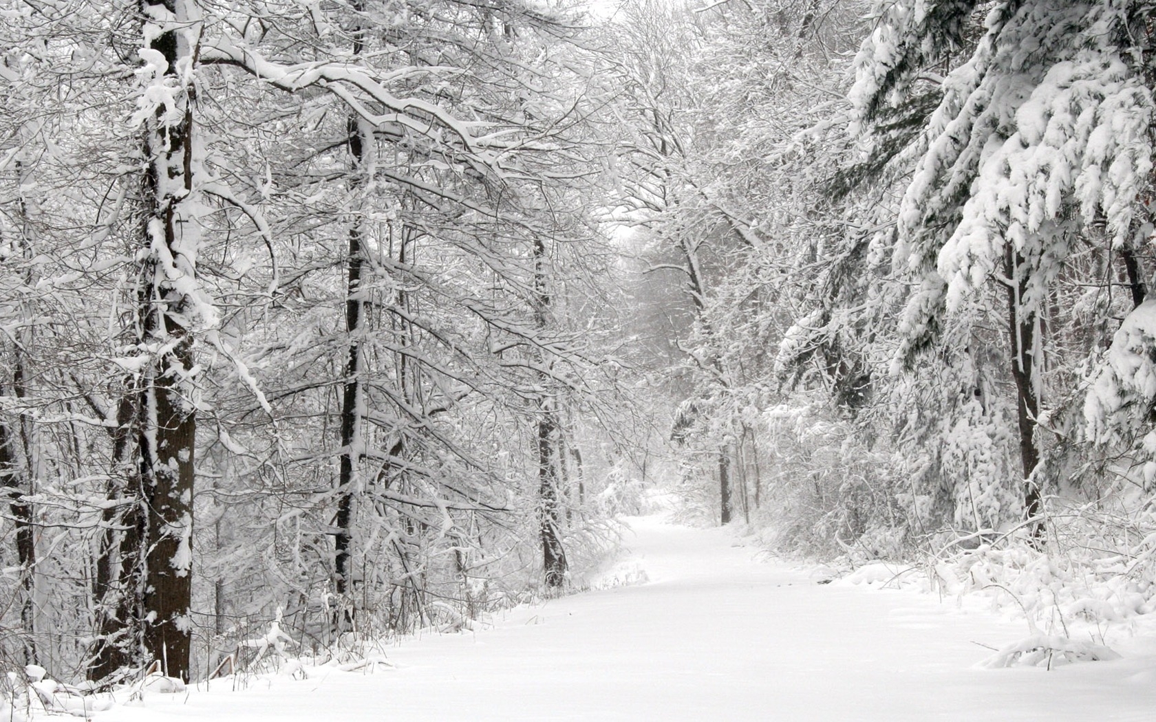 Handy-Wallpaper Landschaft, Winter, Bäume, Roads, Schnee, Tannenbaum, Natur kostenlos herunterladen.