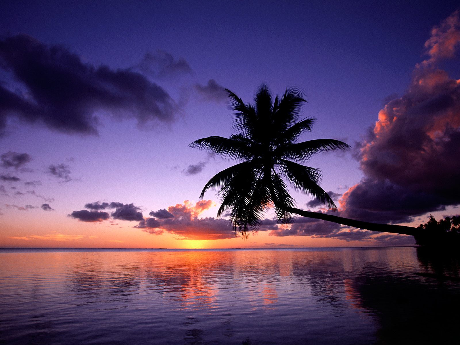 1075770 Hintergrundbild herunterladen strand, erde/natur, wolke, dämmerung, palme, meer - Bildschirmschoner und Bilder kostenlos
