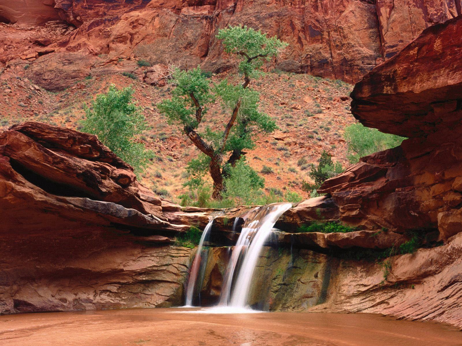 Free download wallpaper Nature, Trees, Waterfall, Canyons, Sand on your PC desktop