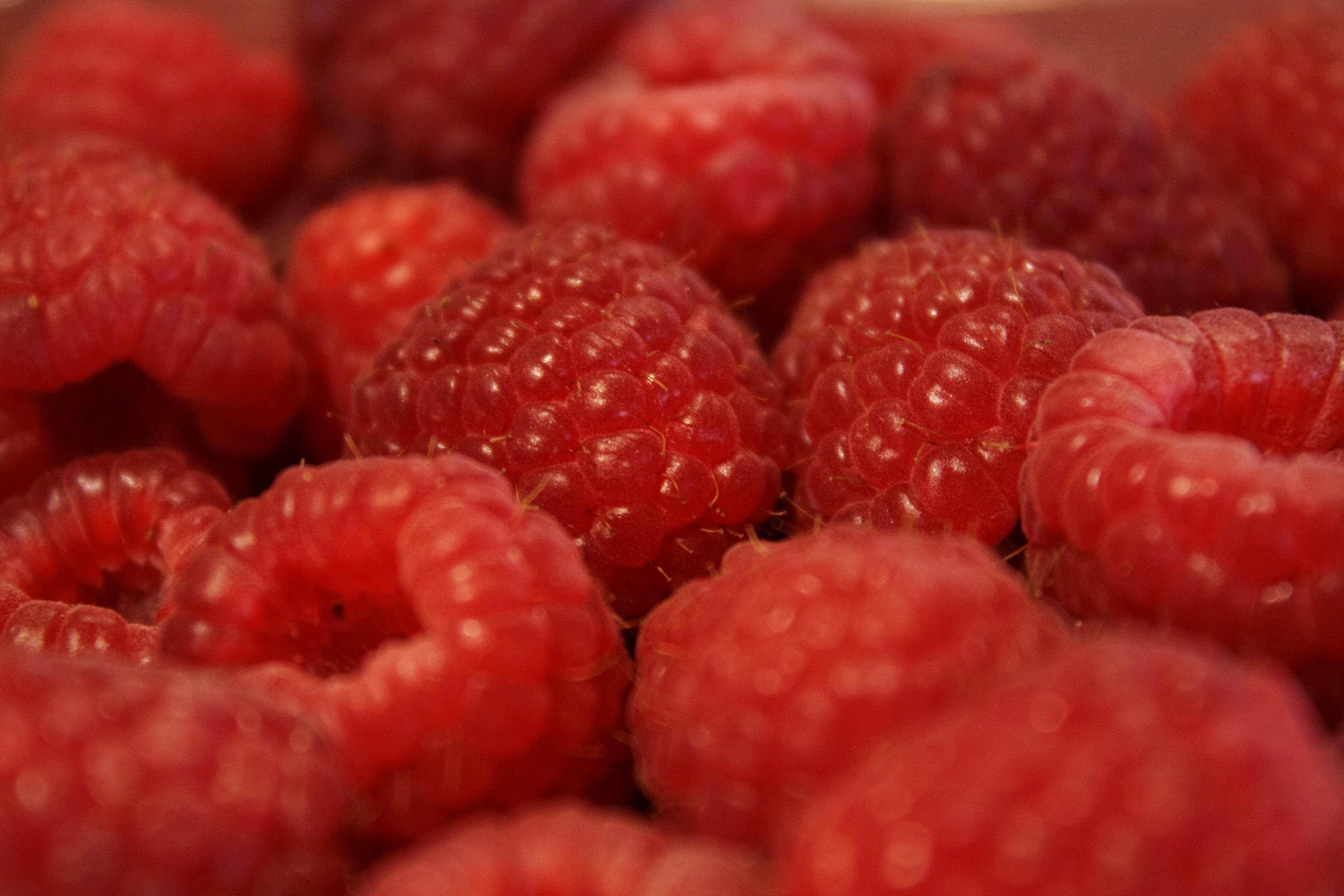 Download mobile wallpaper Macro, Food, Fruit, Raspberry, Berry for free.