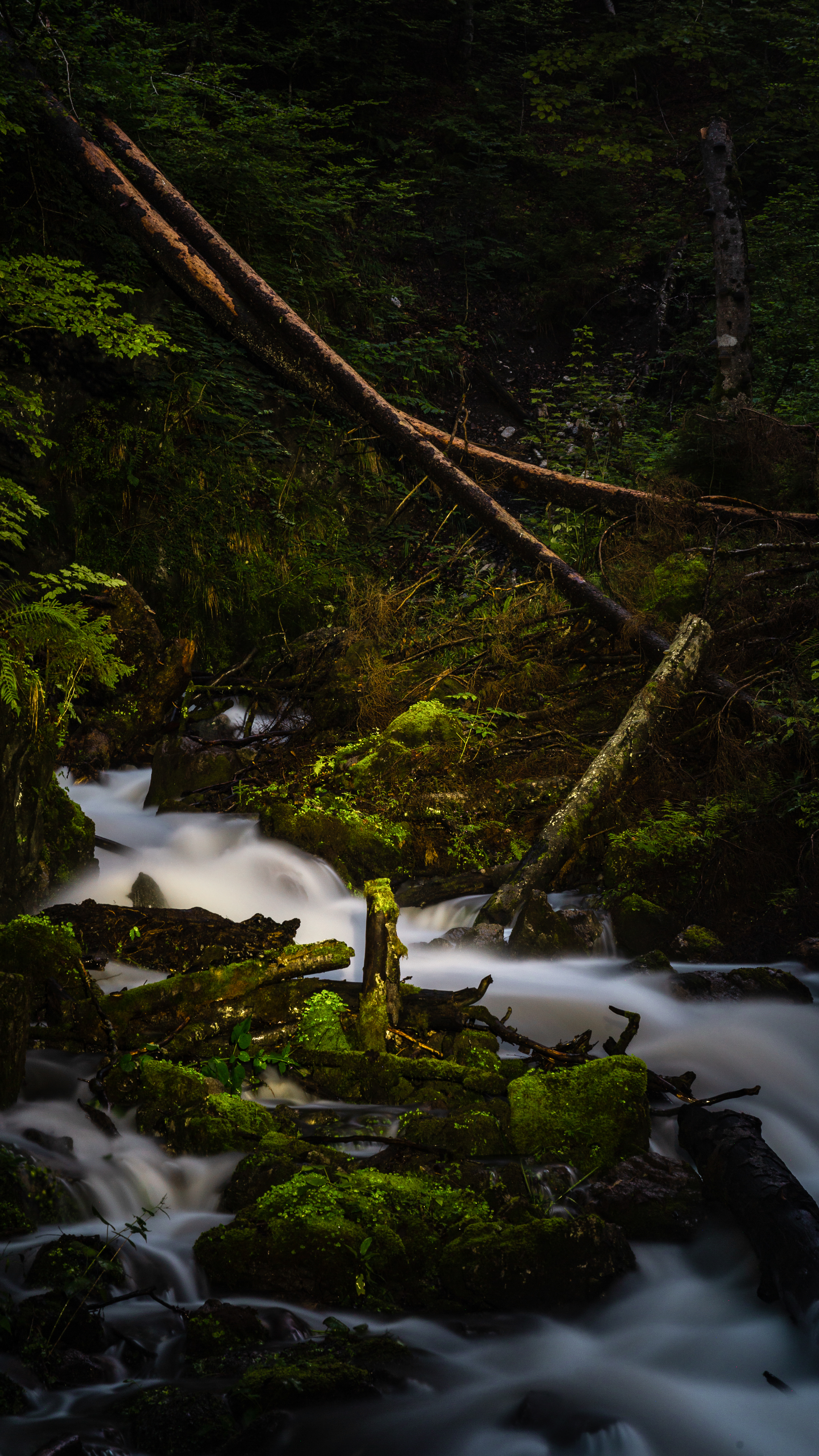 moss, nature, rivers, stones, branches, flow, stream HD wallpaper