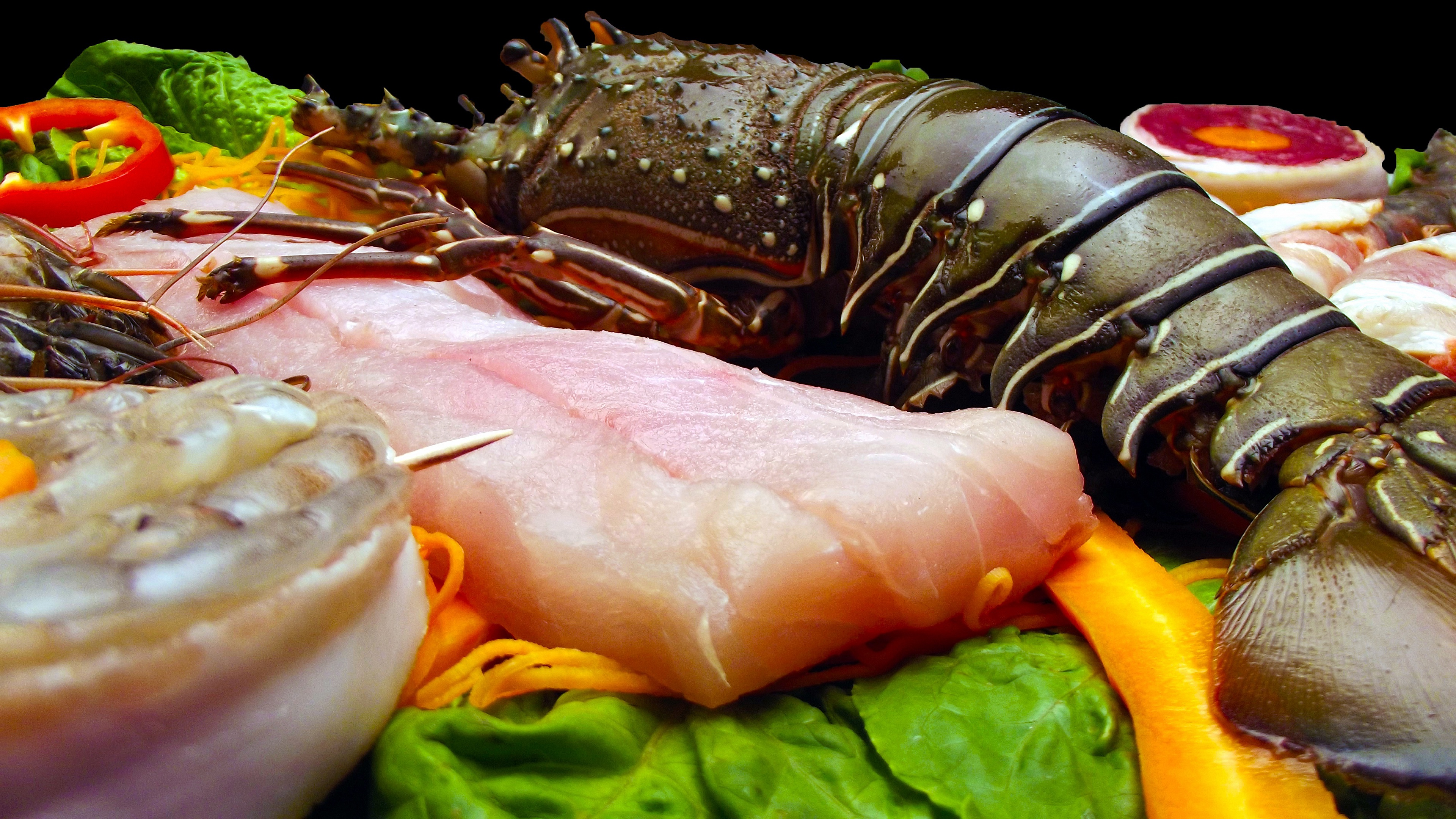 food, seafood, fish, lobster, macro HD wallpaper