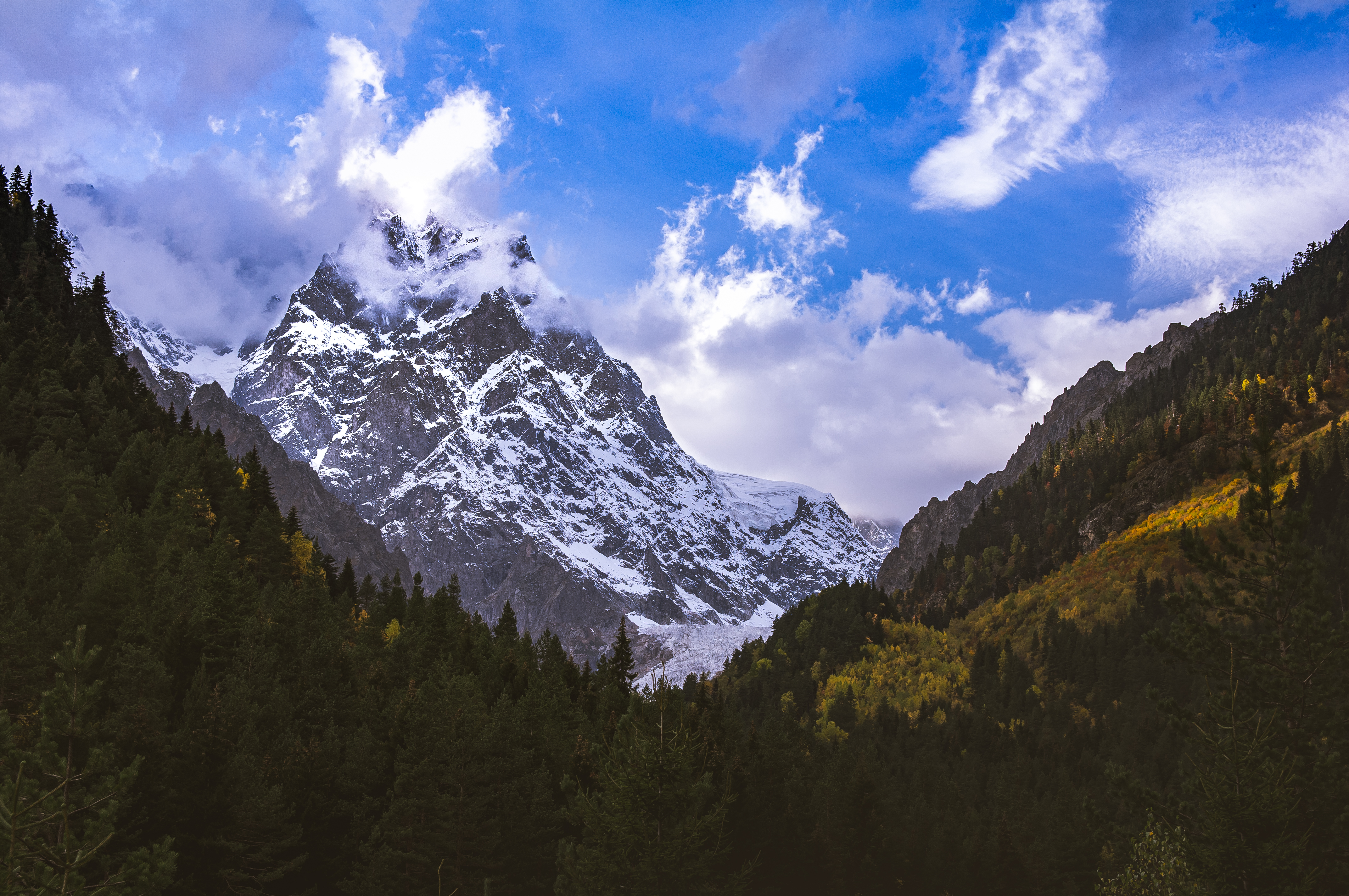 120652 скачать обои вершины, природа, деревья, горы, снег, заснеженный, склон - заставки и картинки бесплатно