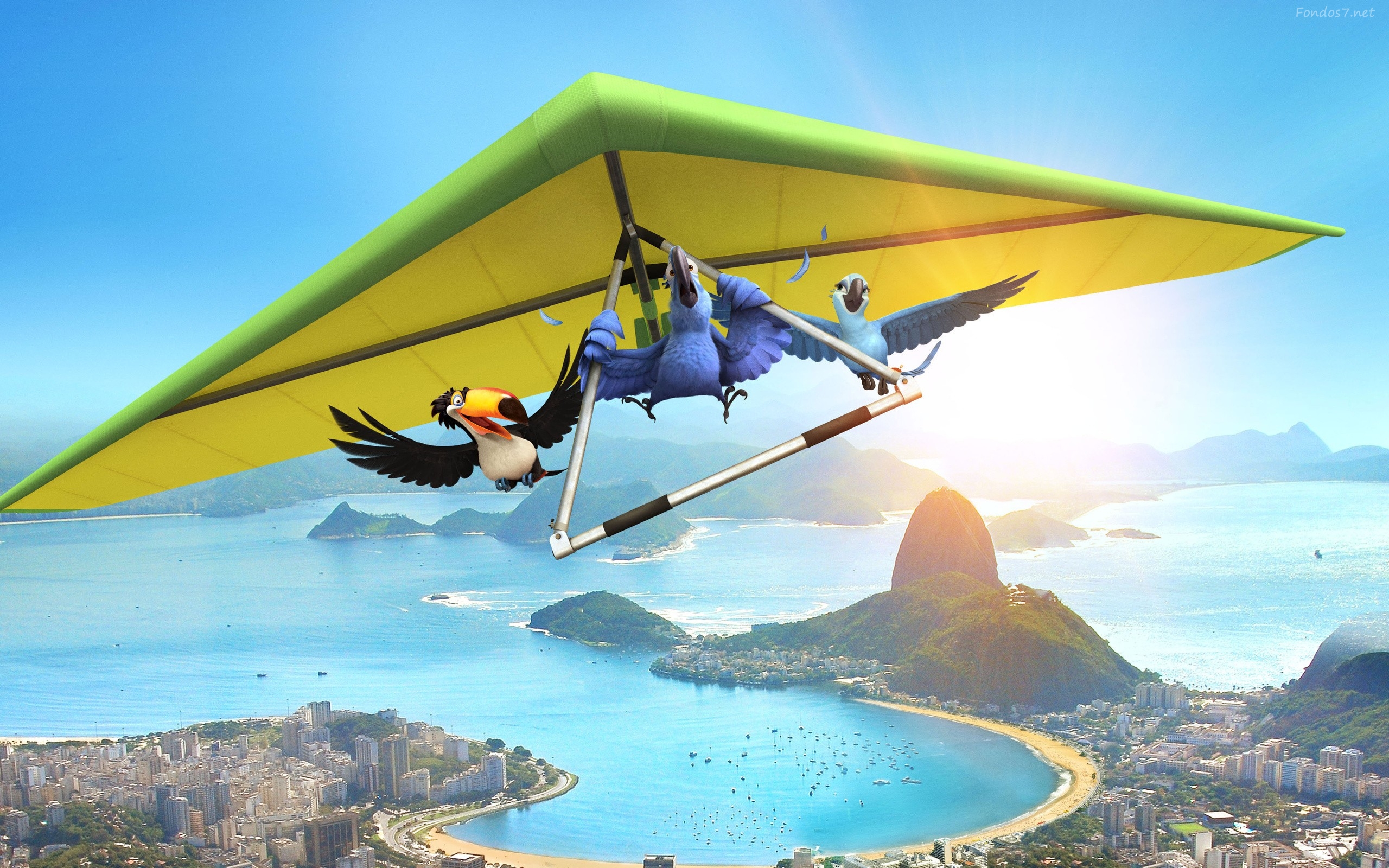 553400 Bildschirmschoner und Hintergrundbilder Rio auf Ihrem Telefon. Laden Sie  Bilder kostenlos herunter