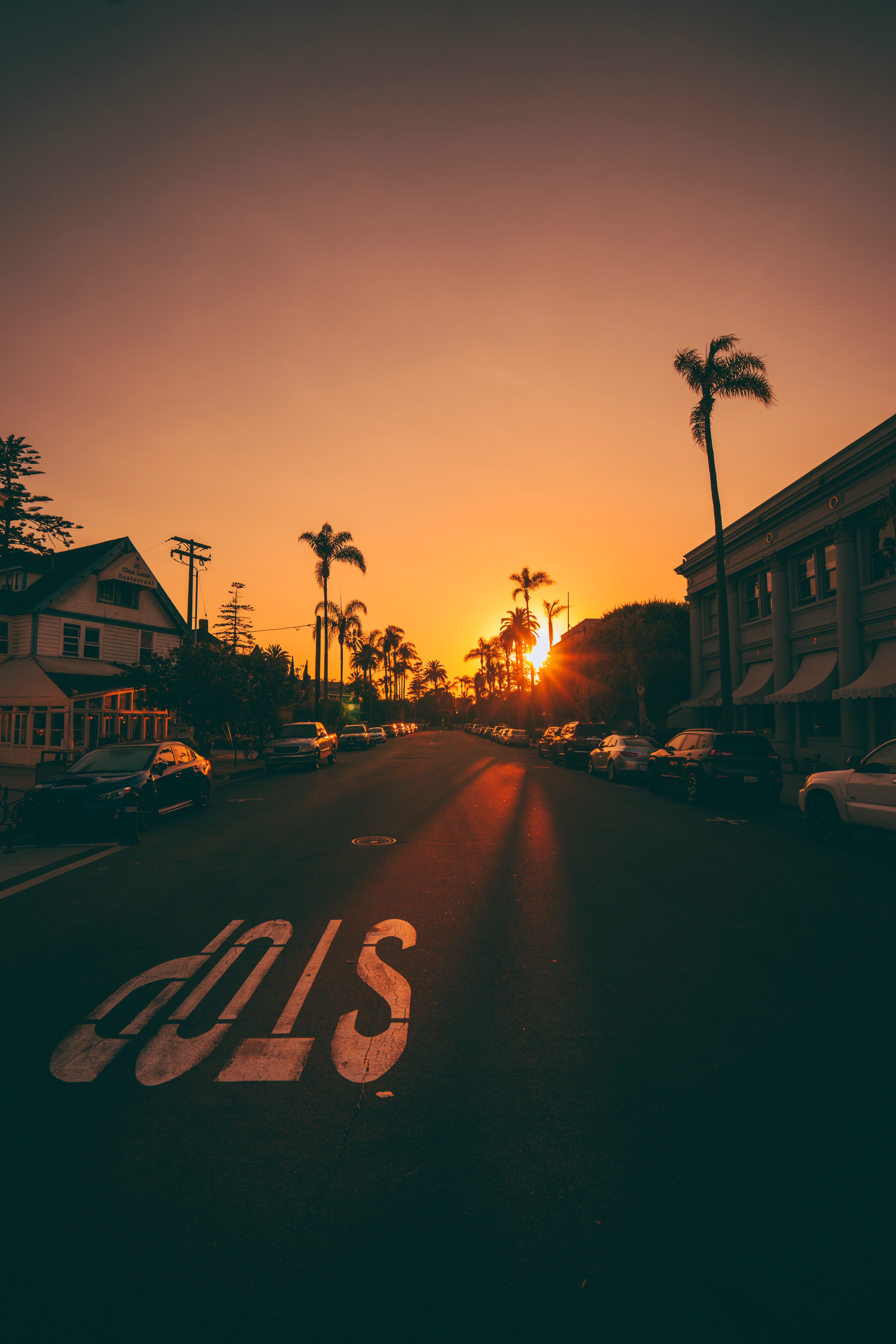 cars, cities, road, palms, street, sunset, markup 5K