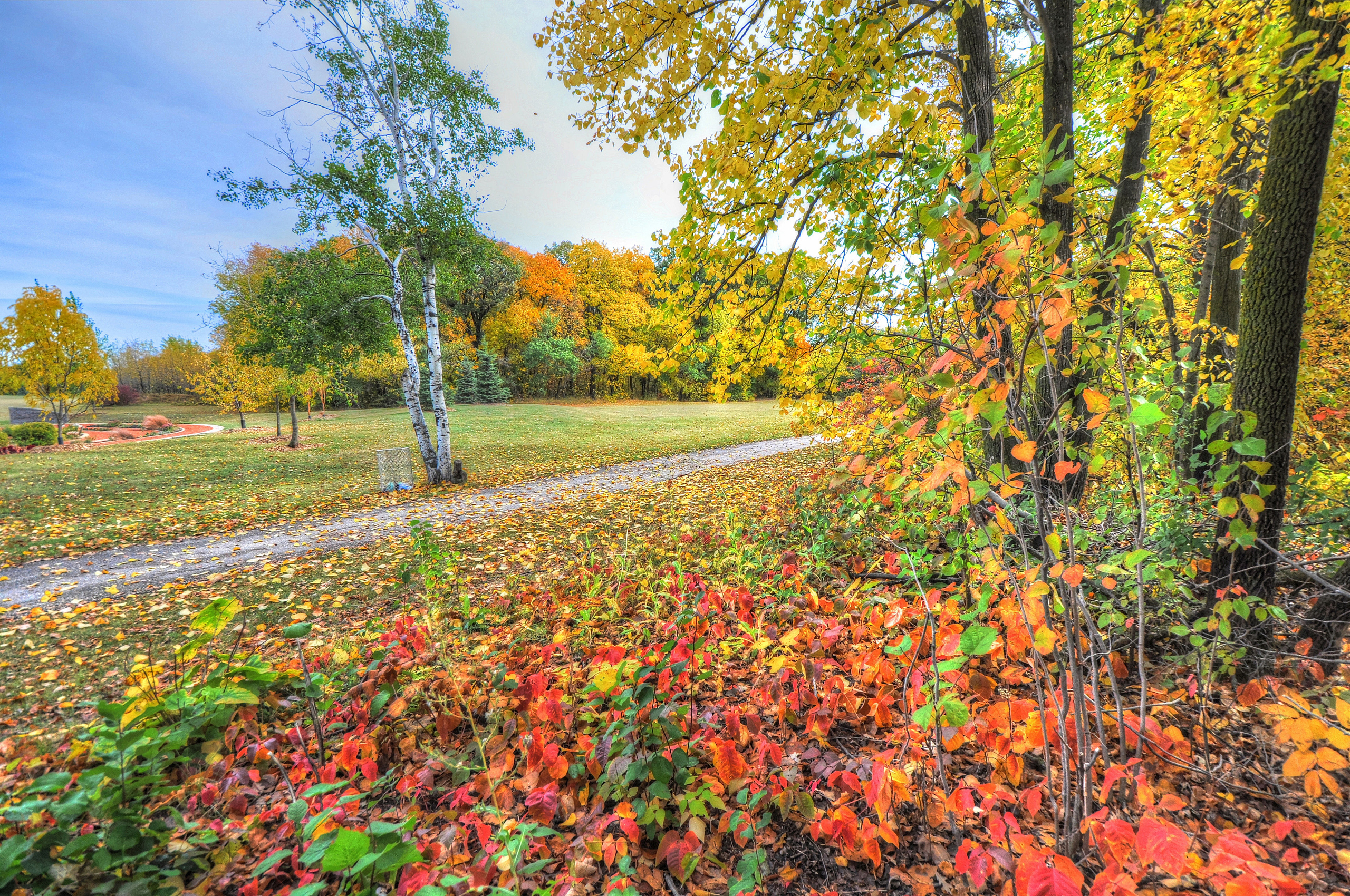 Download mobile wallpaper Path, Trees, Forest, Nature, Autumn for free.