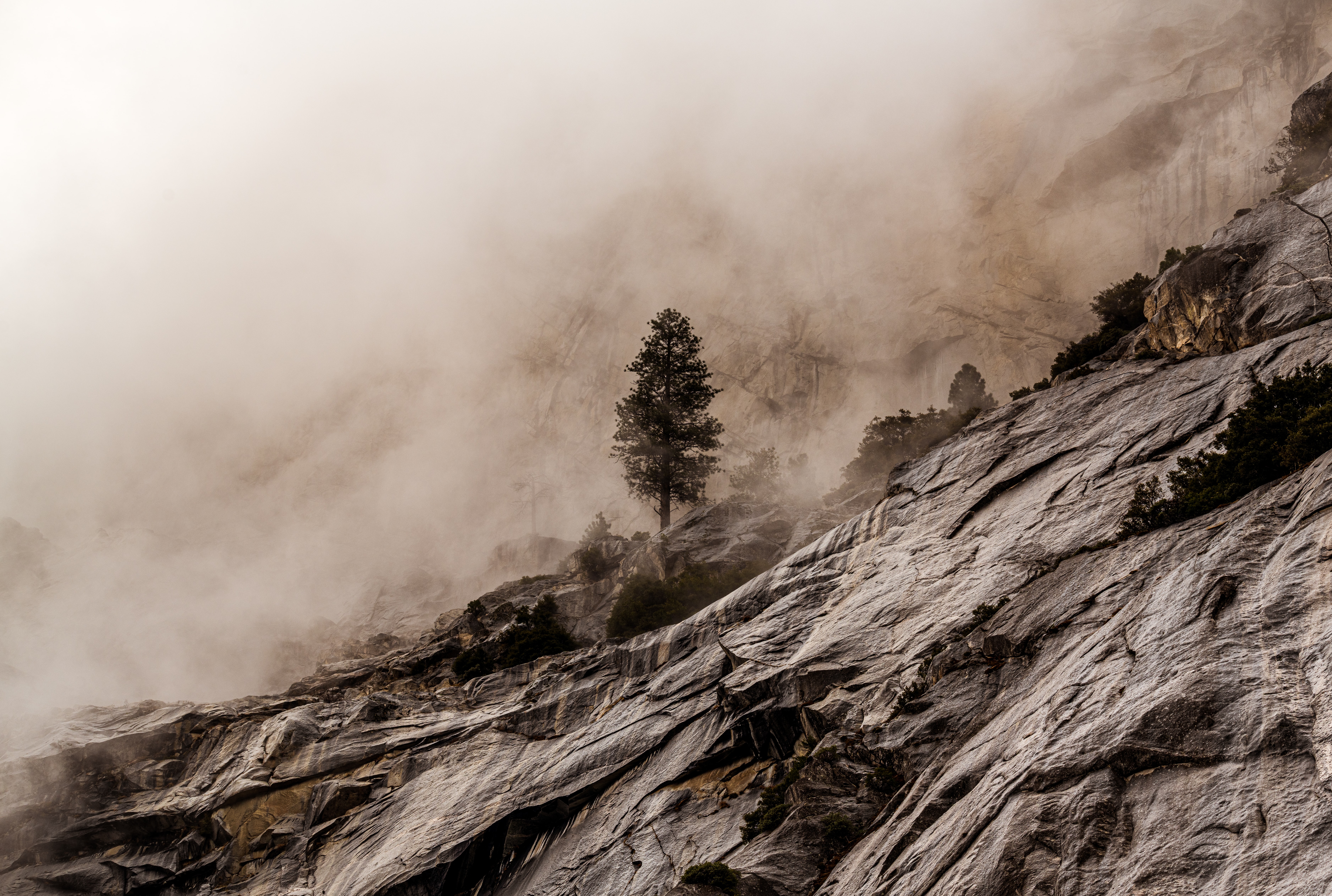 127450 скачать обои туман, каменный, скалы, природа, камни, дерево - заставки и картинки бесплатно