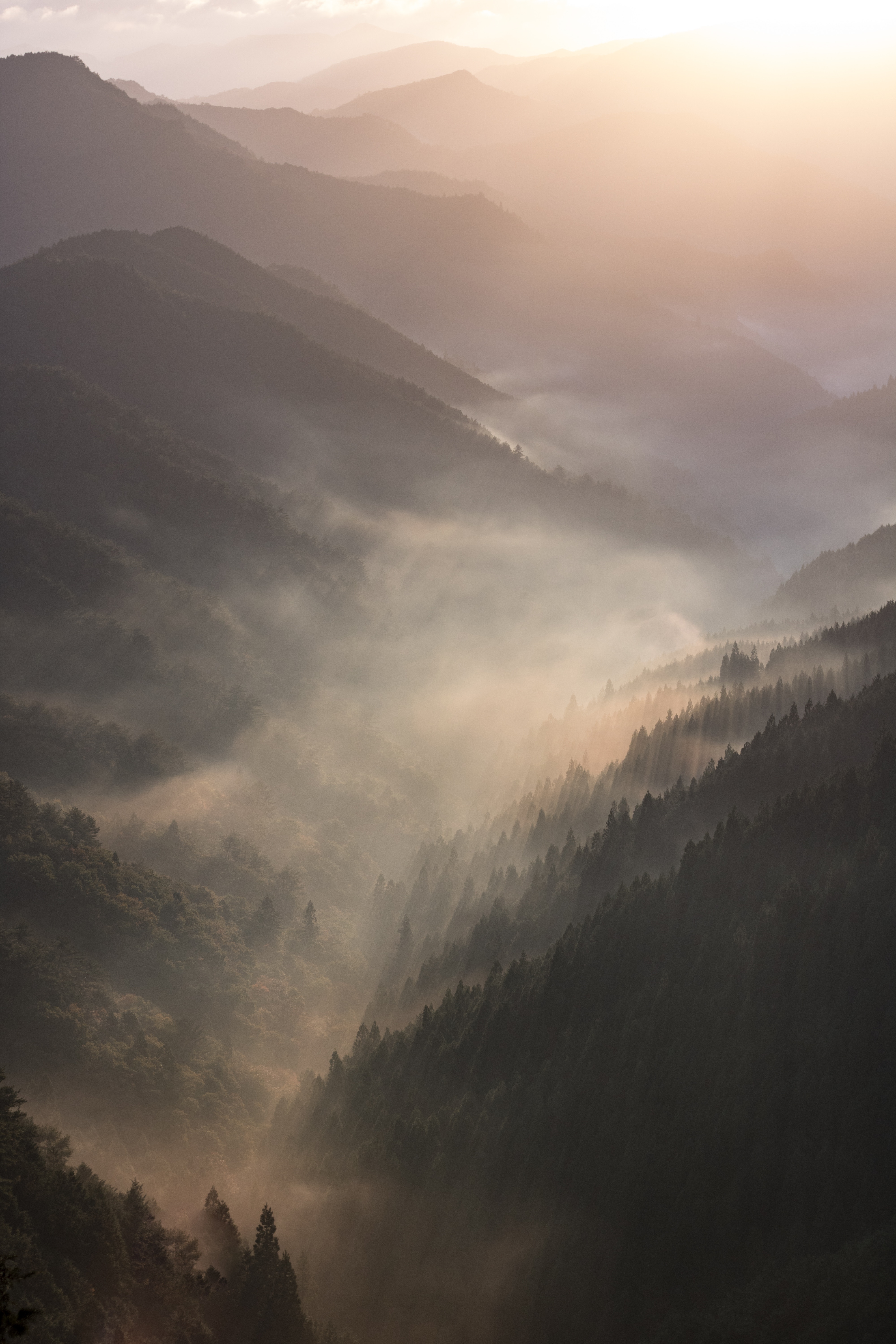 Download mobile wallpaper Forest, Fog, Mountains, Dawn, Nature, Landscape for free.