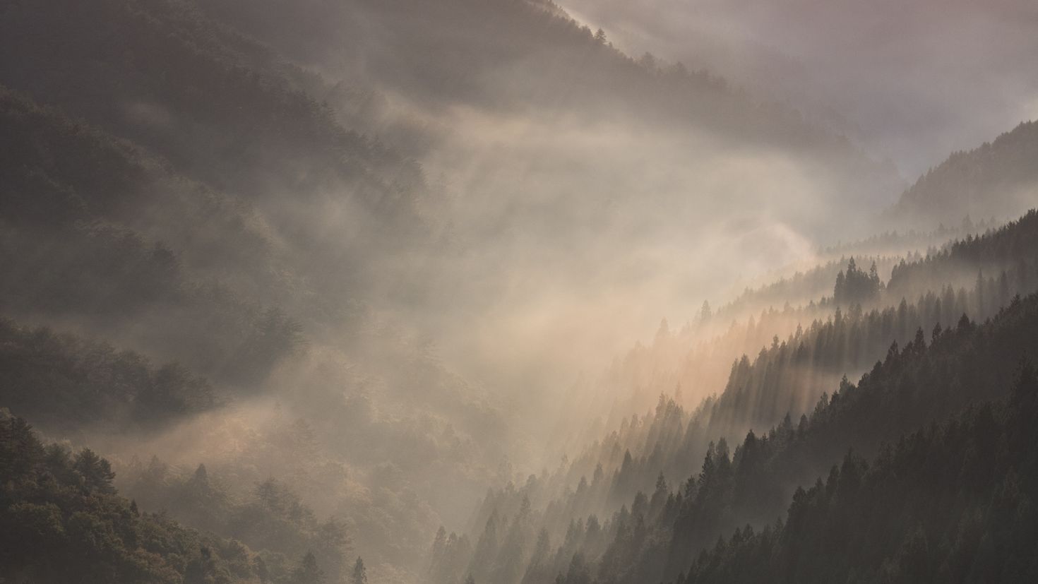 Туманные горы Толкин