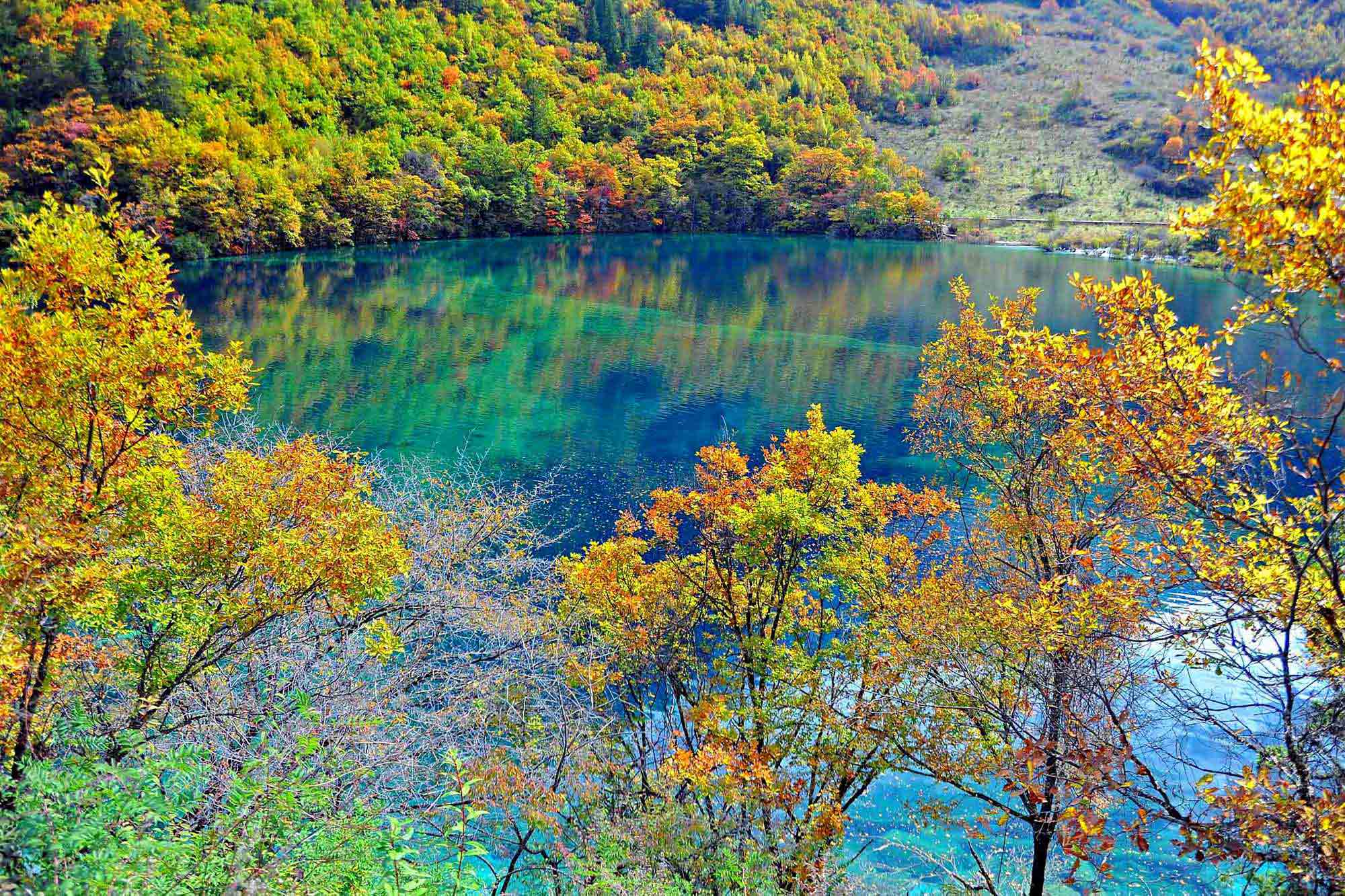 Laden Sie das Natur, Kristalltürkiser See, Crystal Turquoise Lake, Jiuzhaigou Nationalpark, Jujaigou Nationalpark, China-Bild kostenlos auf Ihren PC-Desktop herunter