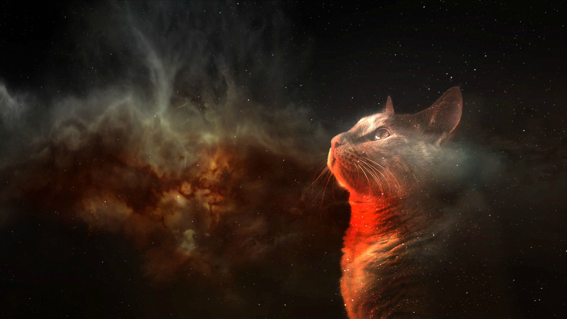 Steam backgrounds with cats фото 104