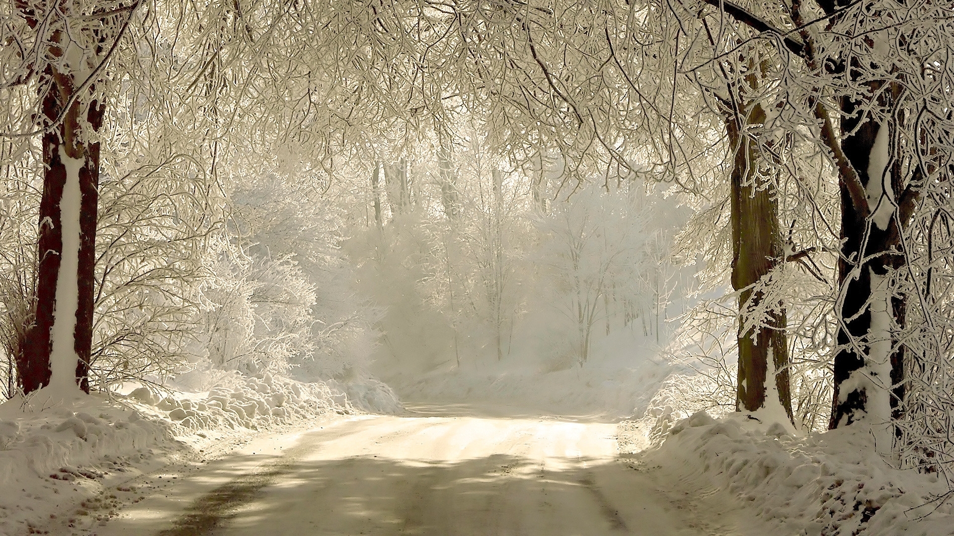 28112 Hintergrundbild herunterladen landschaft, winter, bäume, roads, schnee, gelb - Bildschirmschoner und Bilder kostenlos