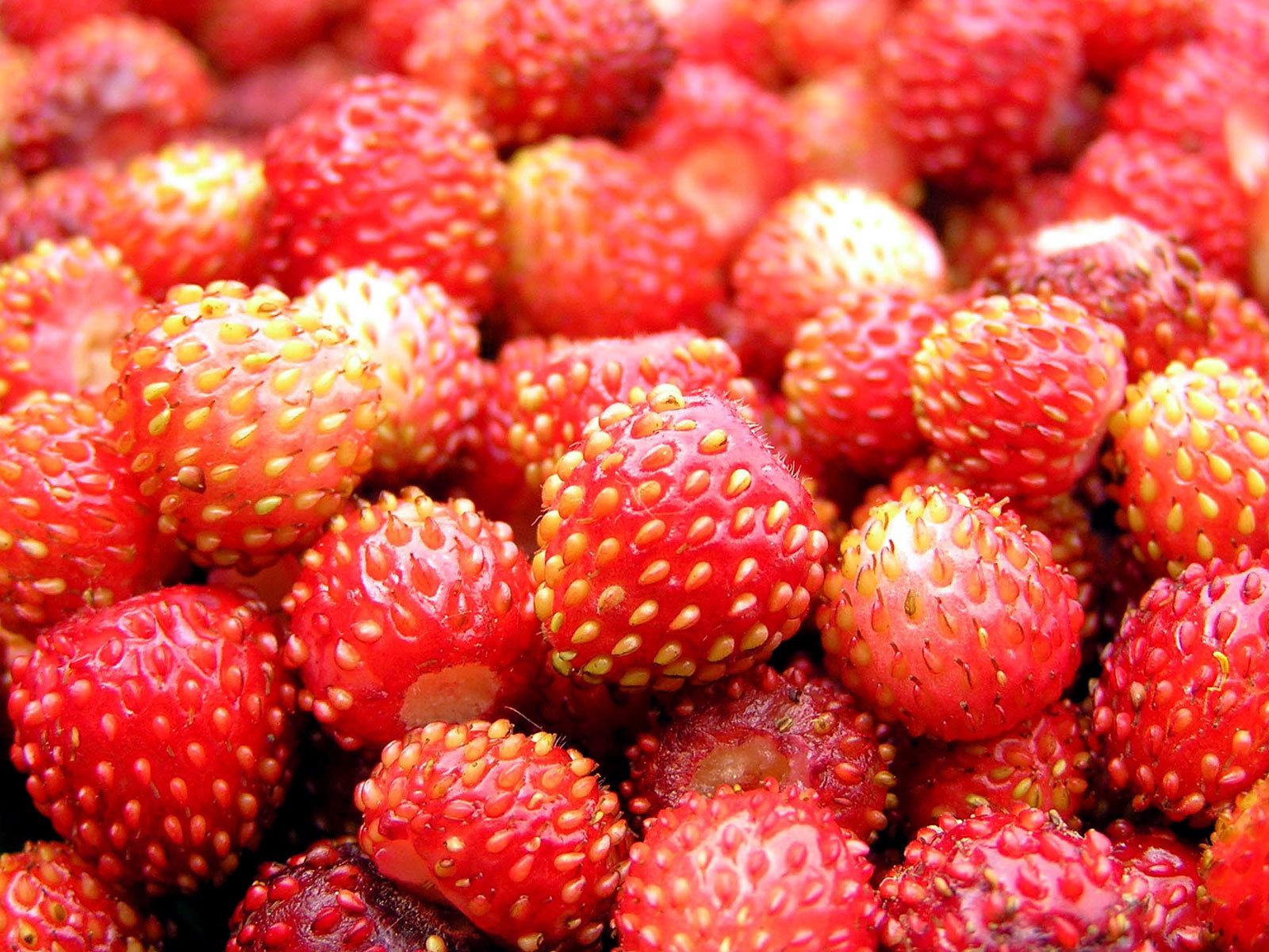 ripe, food, strawberry, berry, wild strawberries
