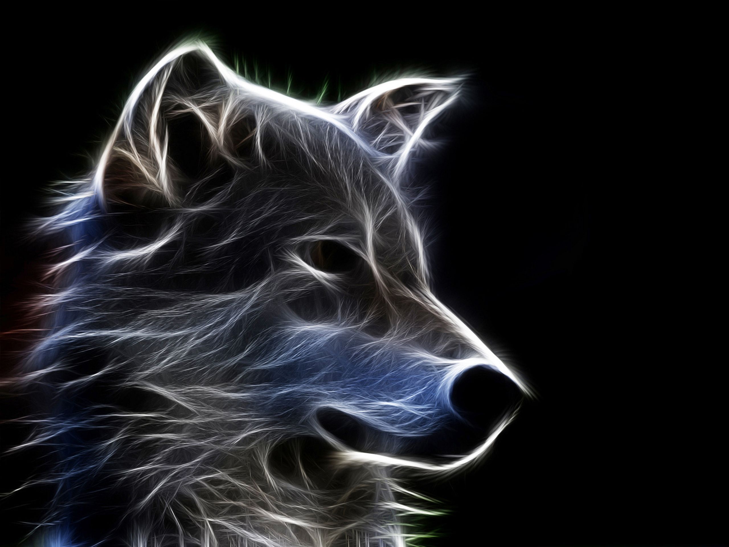 310828 Hintergrundbild herunterladen wolf, tiere, wolves - Bildschirmschoner und Bilder kostenlos
