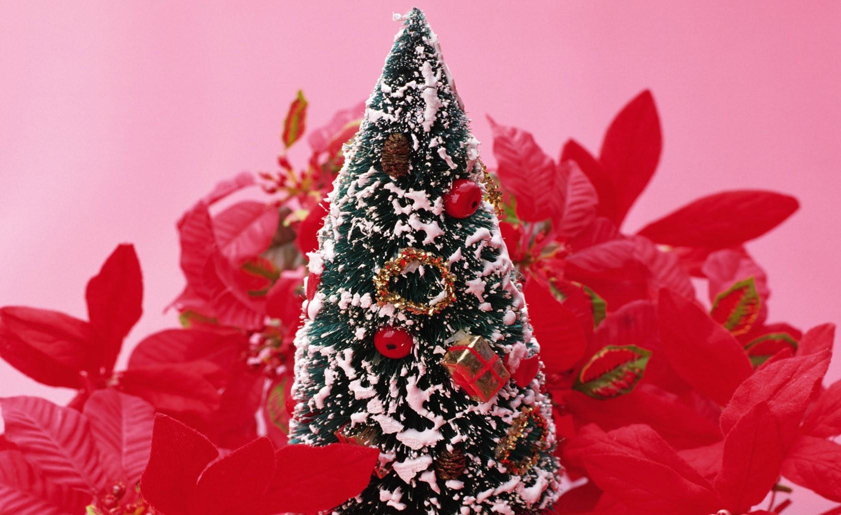 Téléchargez des papiers peints mobile Fleurs, Jouet, Fêtes, Neige, Arbre De Noël, Sapin De Noël gratuitement.