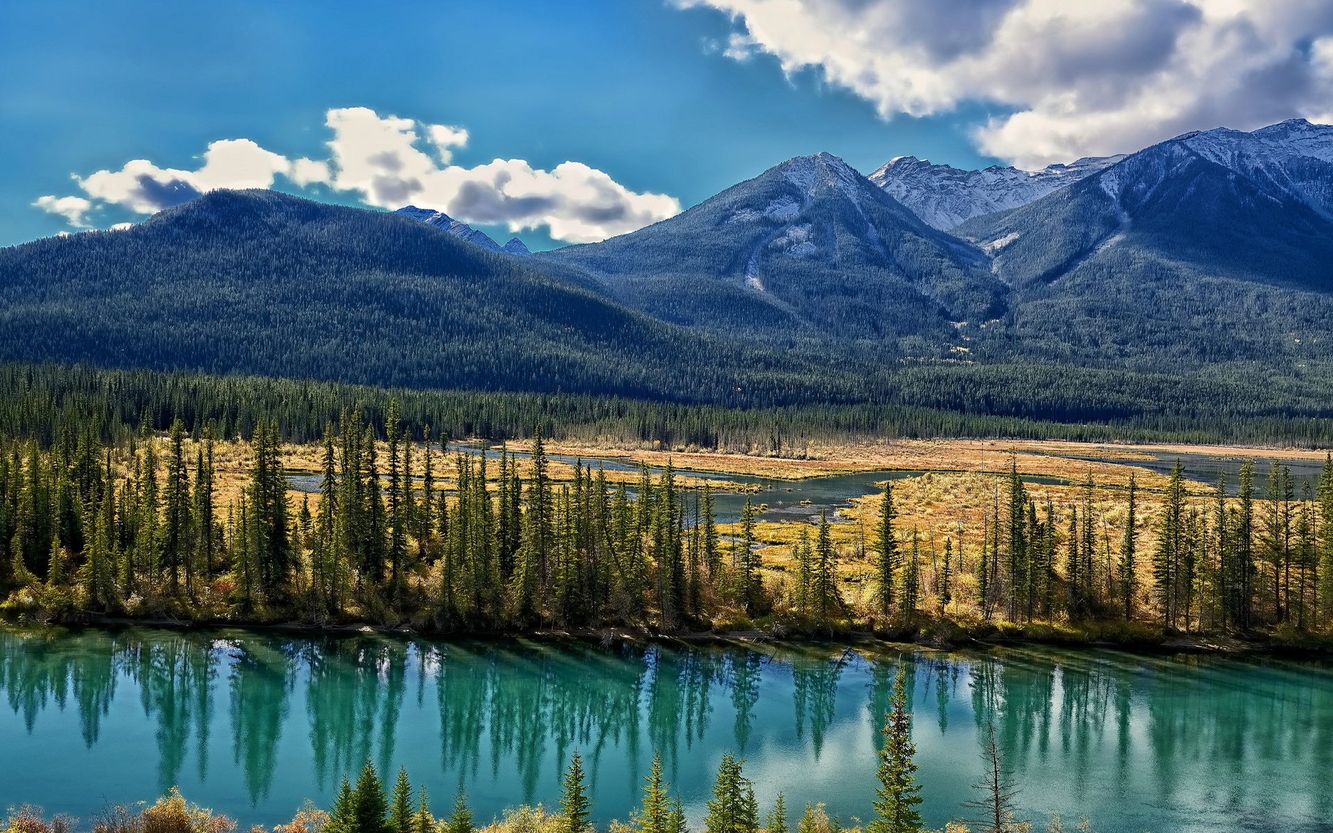 Штат Альберта Канада природа