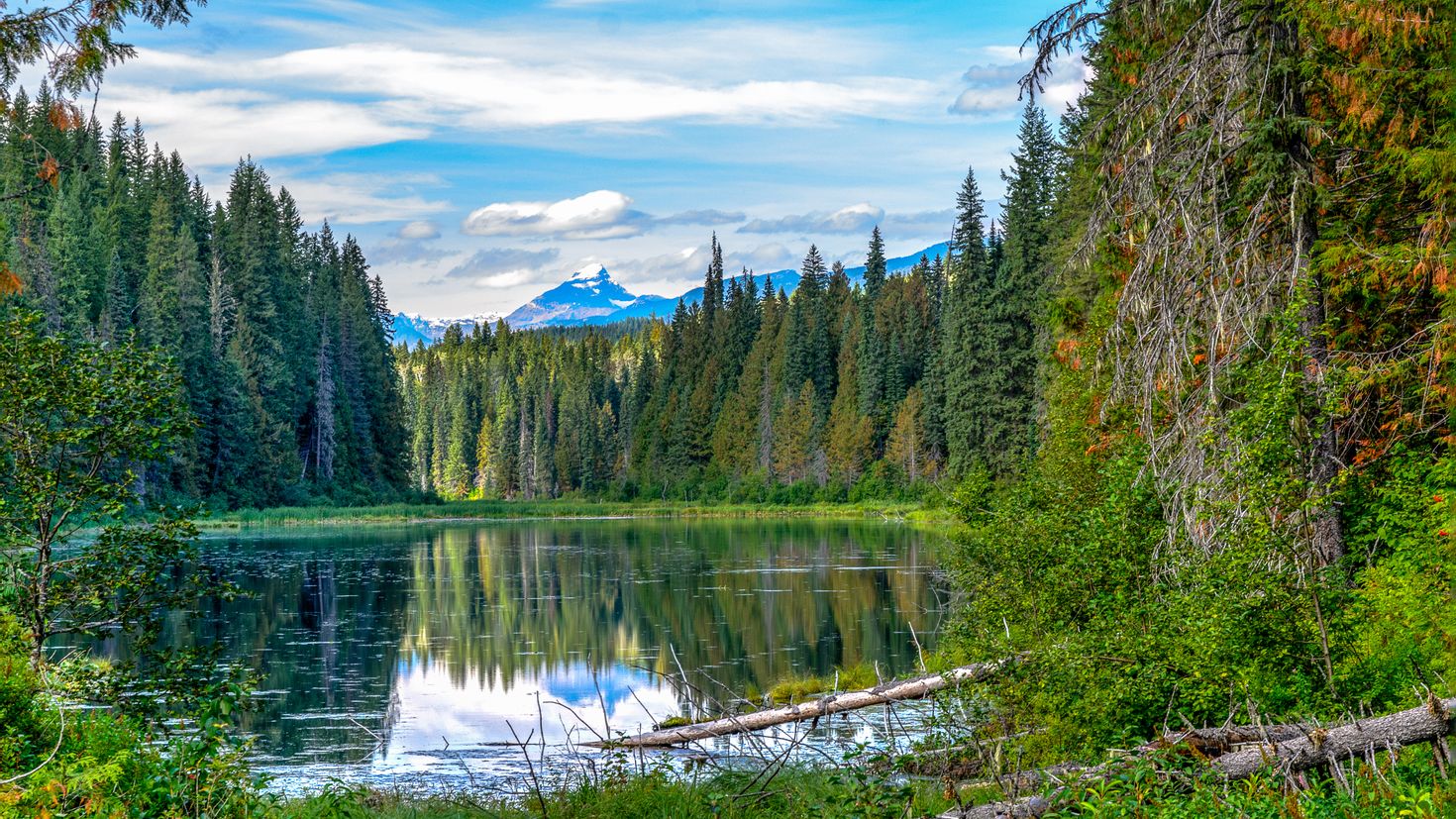 R forest. Лес Квебек Канада. Озеро в лесу. Лес горы. Озеро в Сосновом лесу.